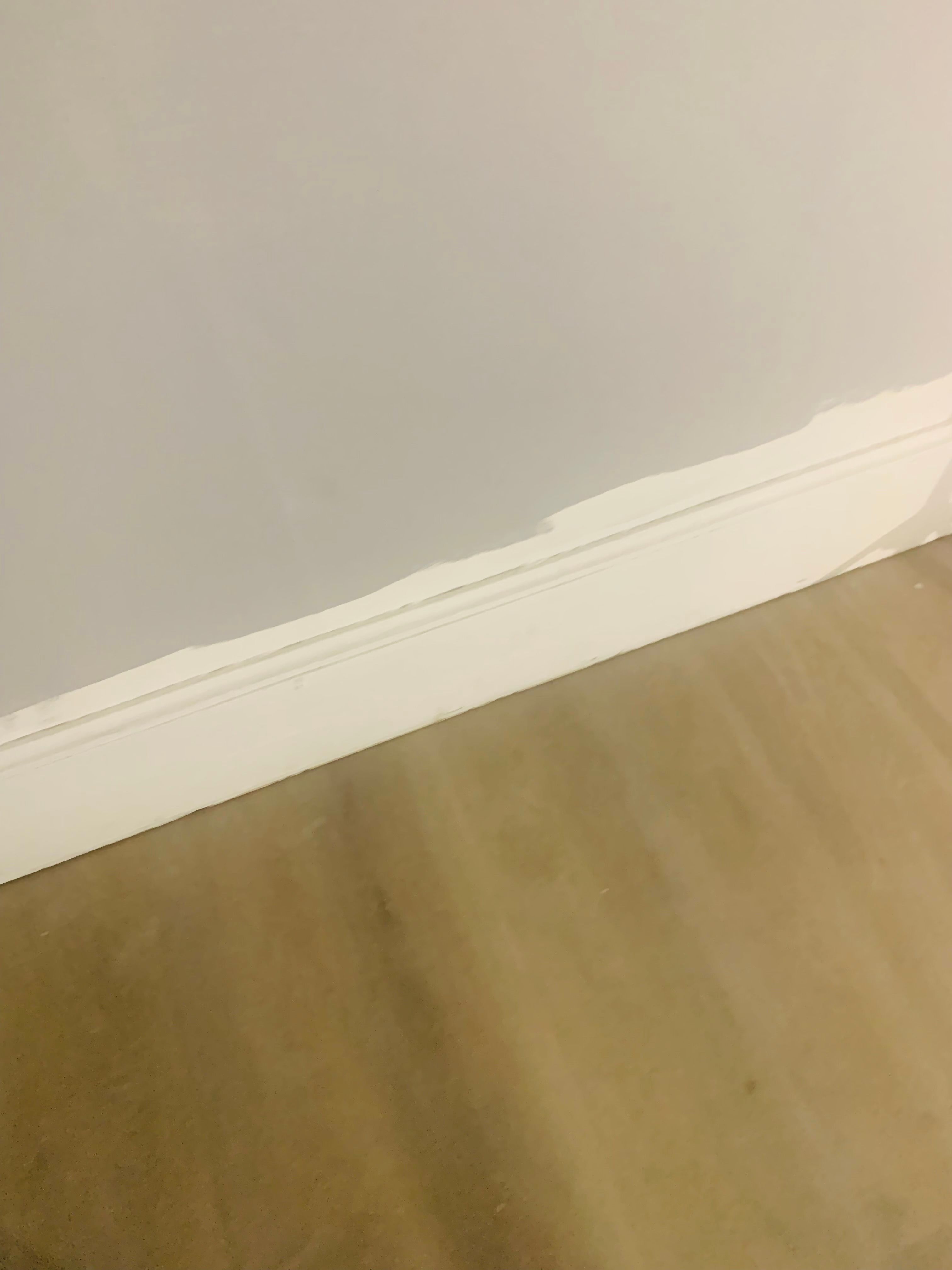 Flooring for Erie Builders & Construction in Sandusky, OH