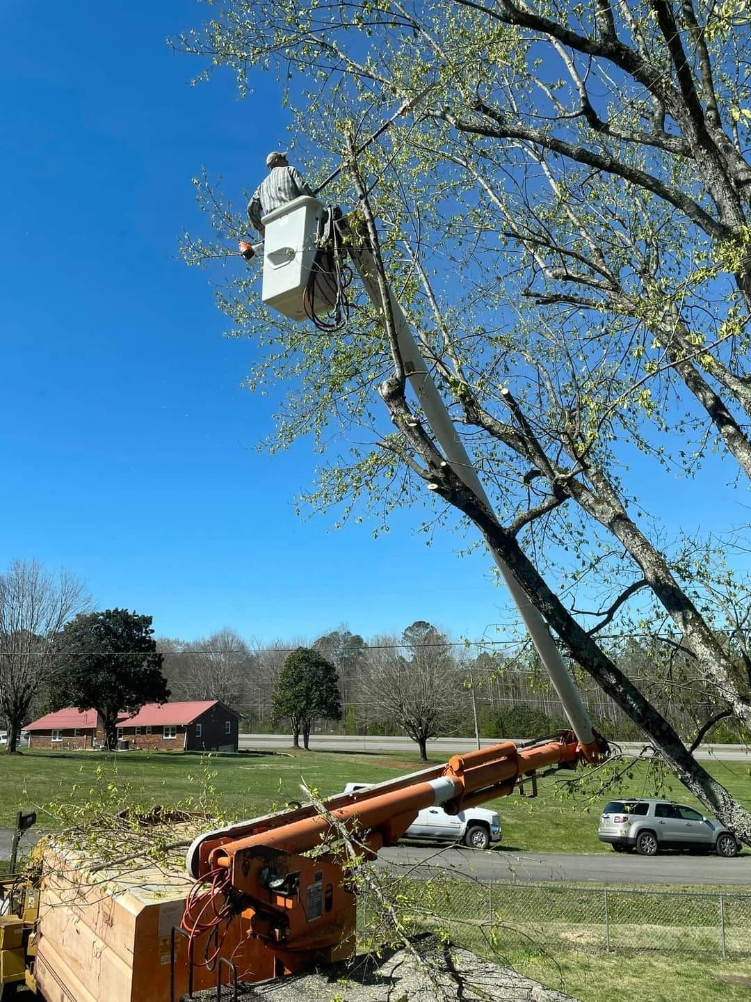  for Scott's Tree Service in Athens, TN