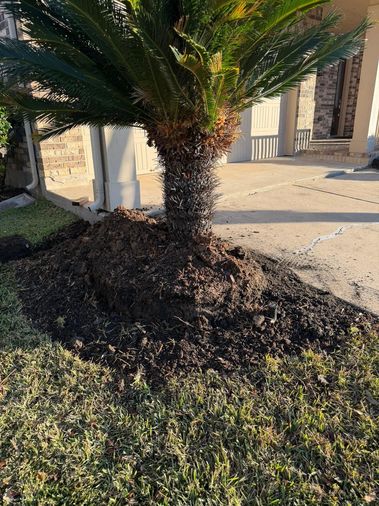  for Texas Curb N Borders in Houston, TX