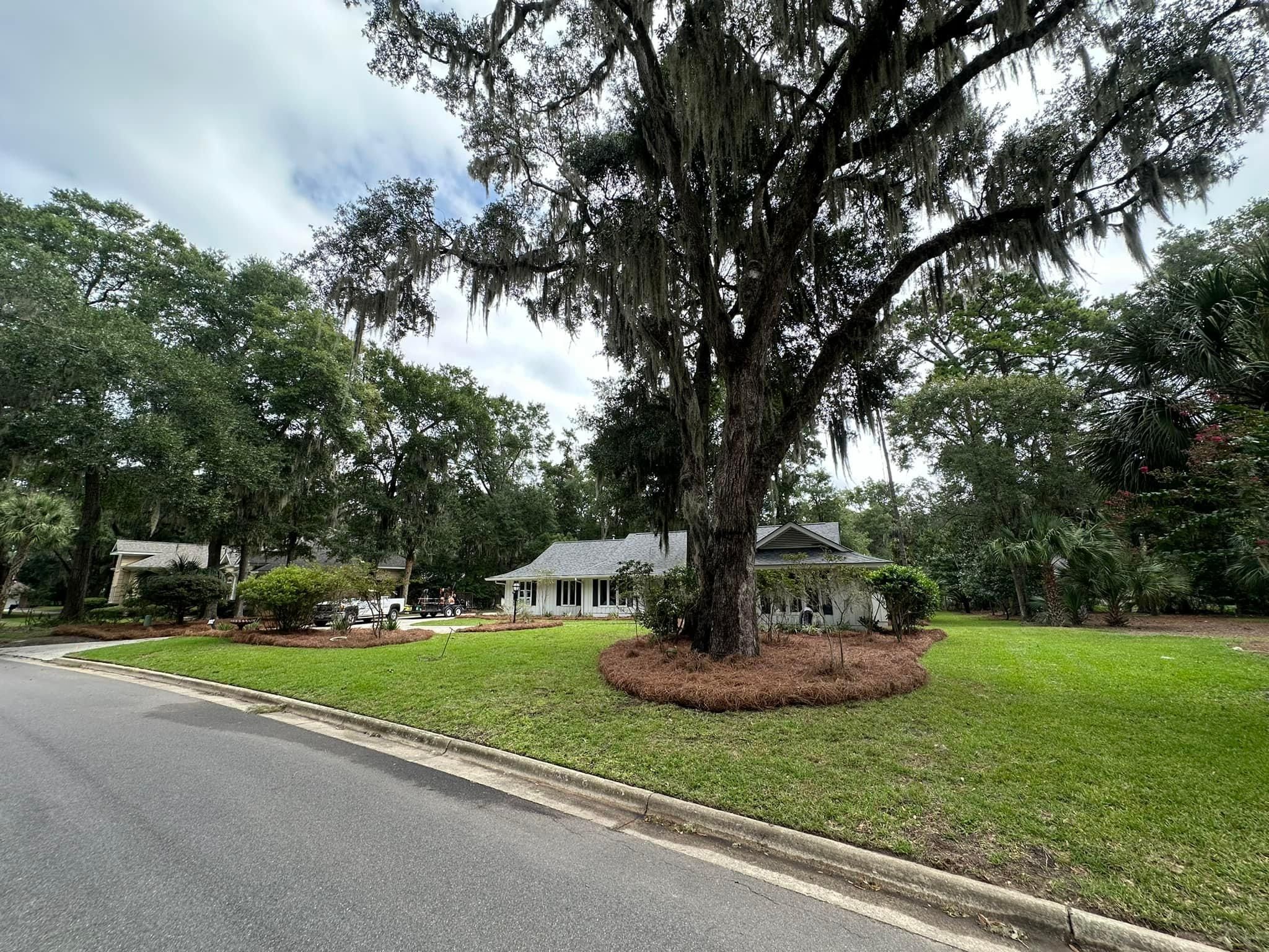  for Coastalscapes Landscaping & Turf Management  in Savannah, GA