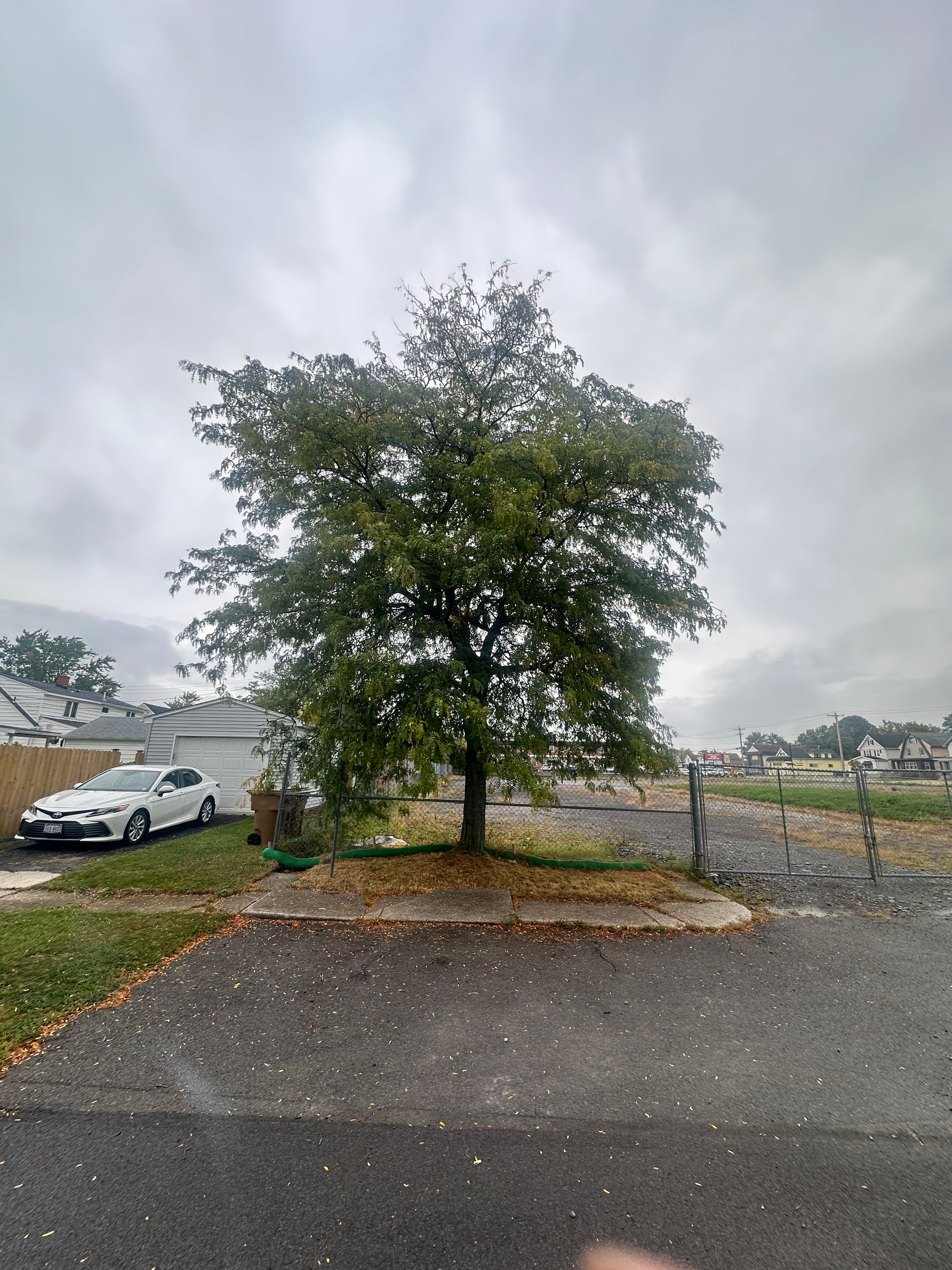  for Hauser's Complete Care INC in Lancaster, NY