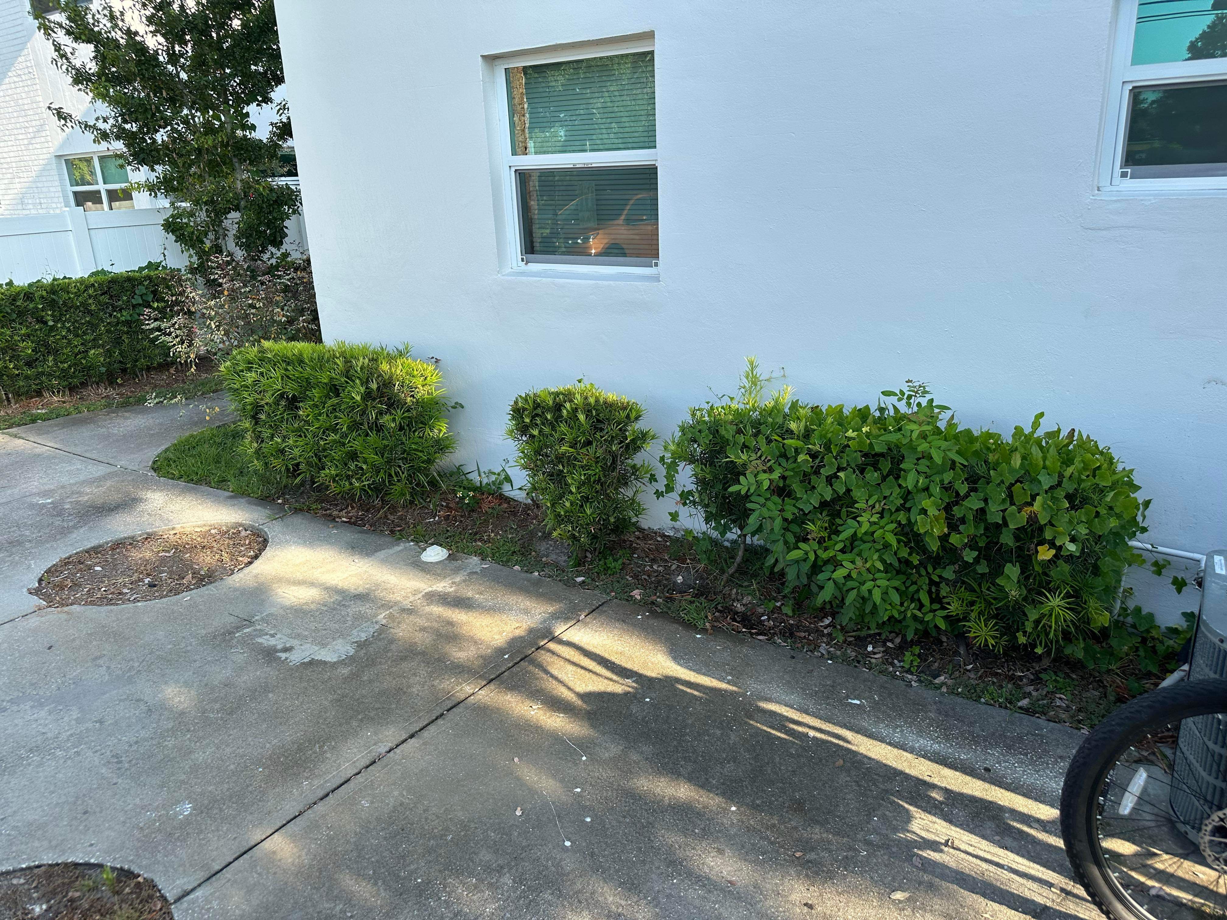  for Space Coast Property Maintenance and Management LLC in Melbourne, FL