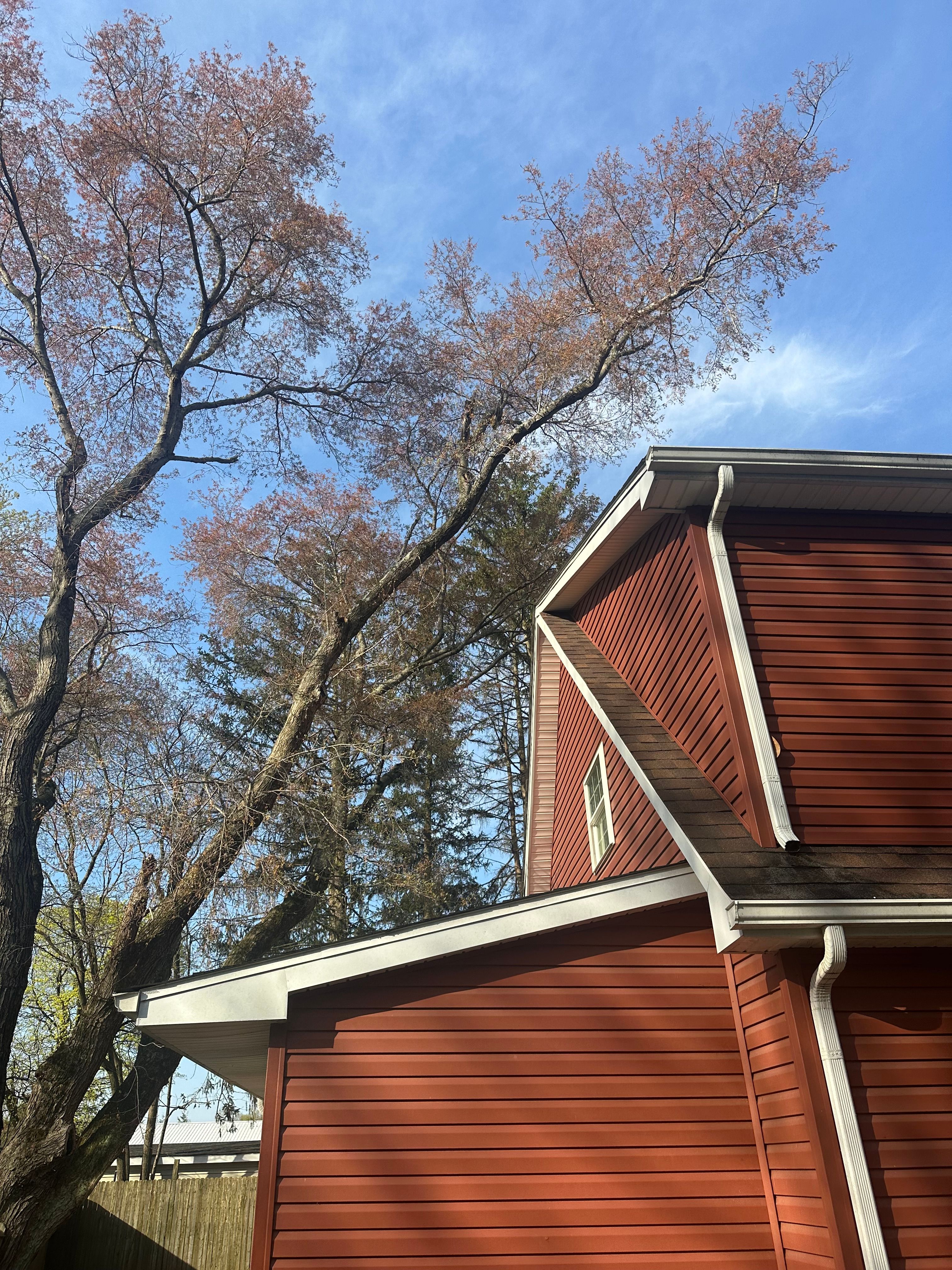  for Loockerman's Tree and Stump Removal in Dover, DE