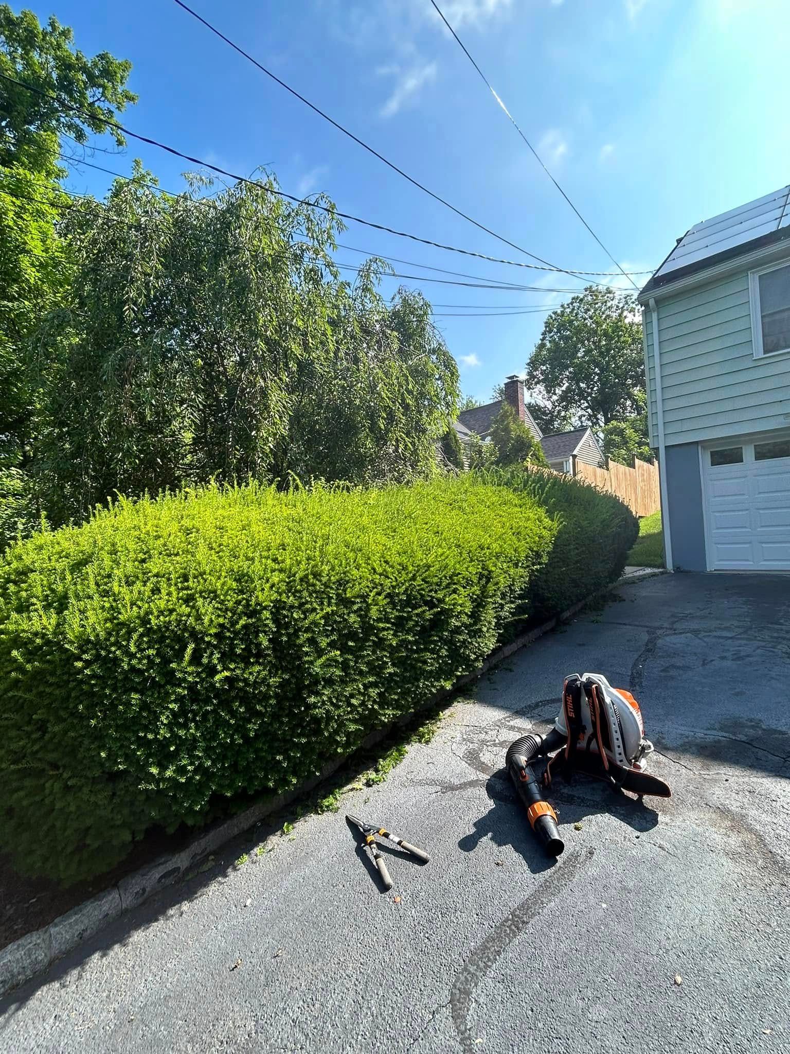  for Jose Gonzalez Landscaping in Stamford, CT