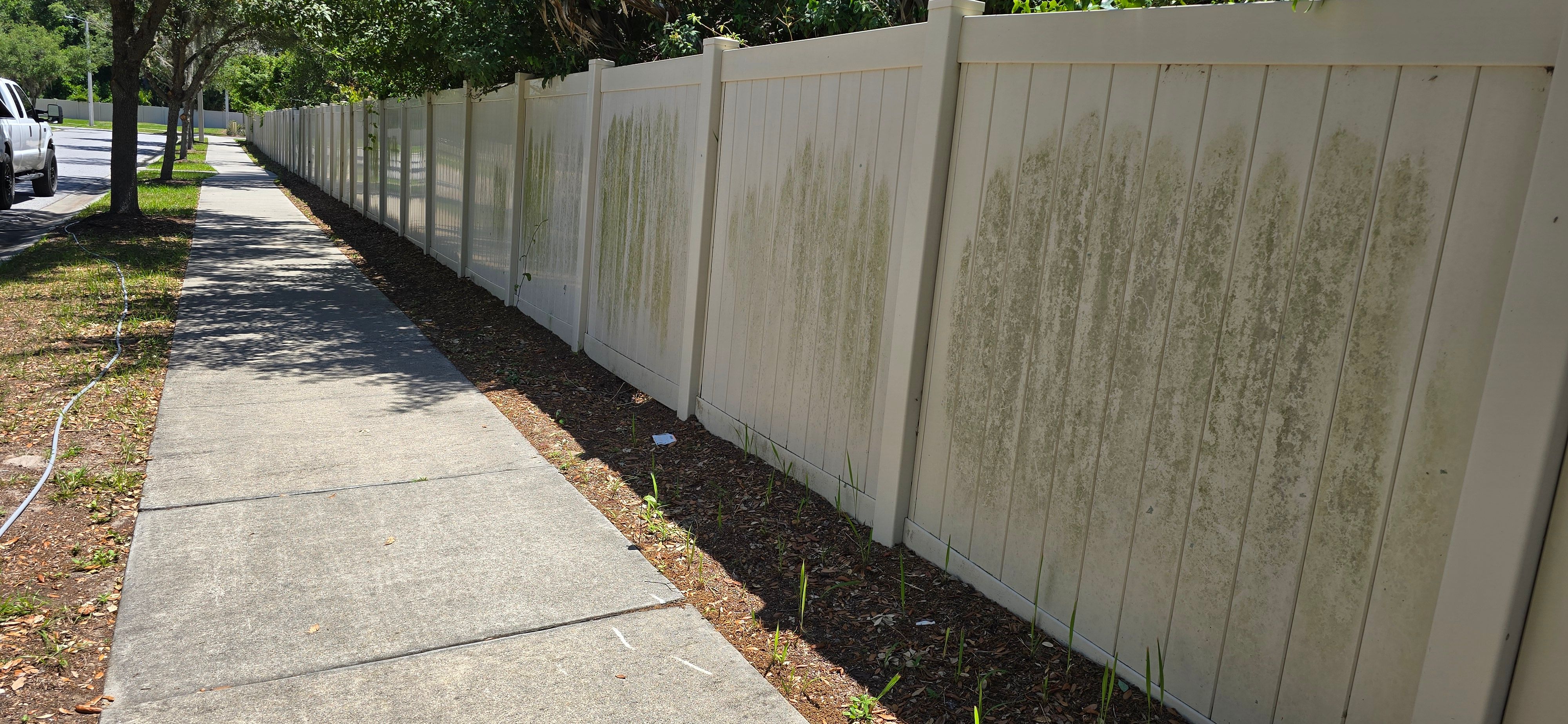  for Blue Stream Roof Cleaning & Pressure Washing in Tampa, FL