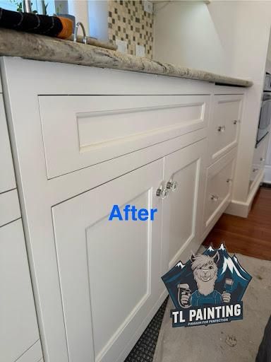  for TL Painting in Joliet, IL