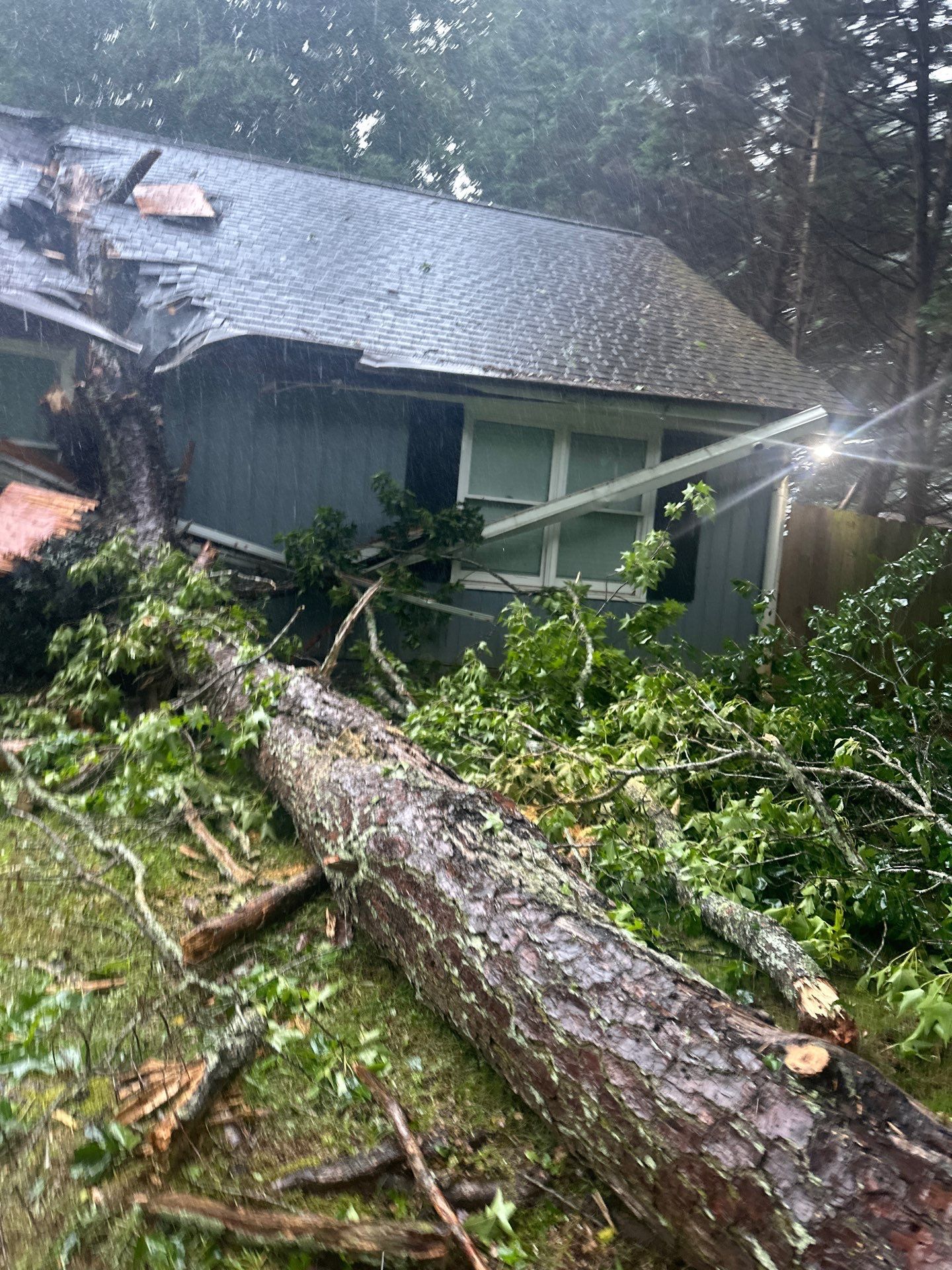  for Bulldawg Disaster Response in Atlanta, GA