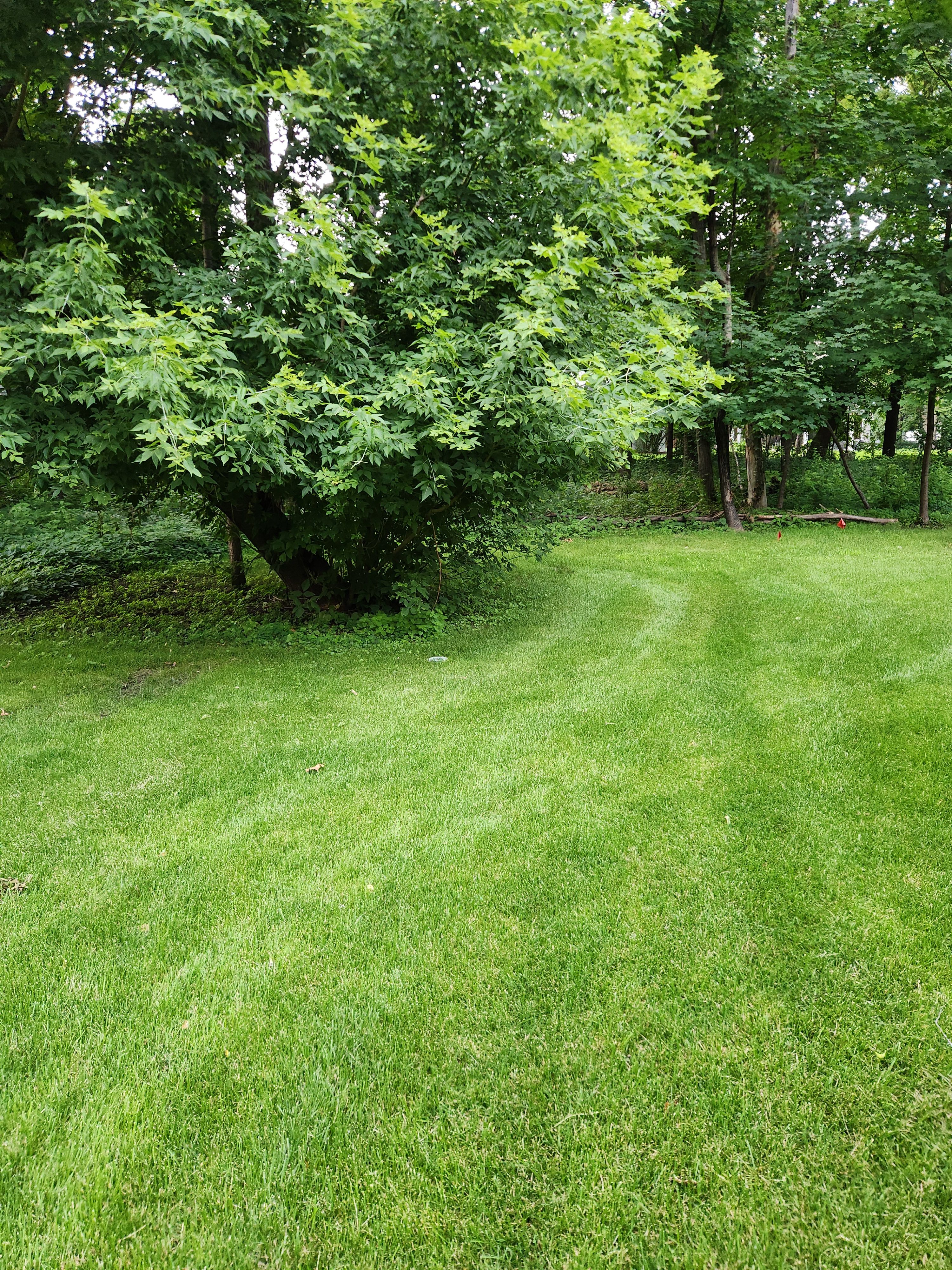  for K & I Lawn Care Service  in Eden Prarie, MN