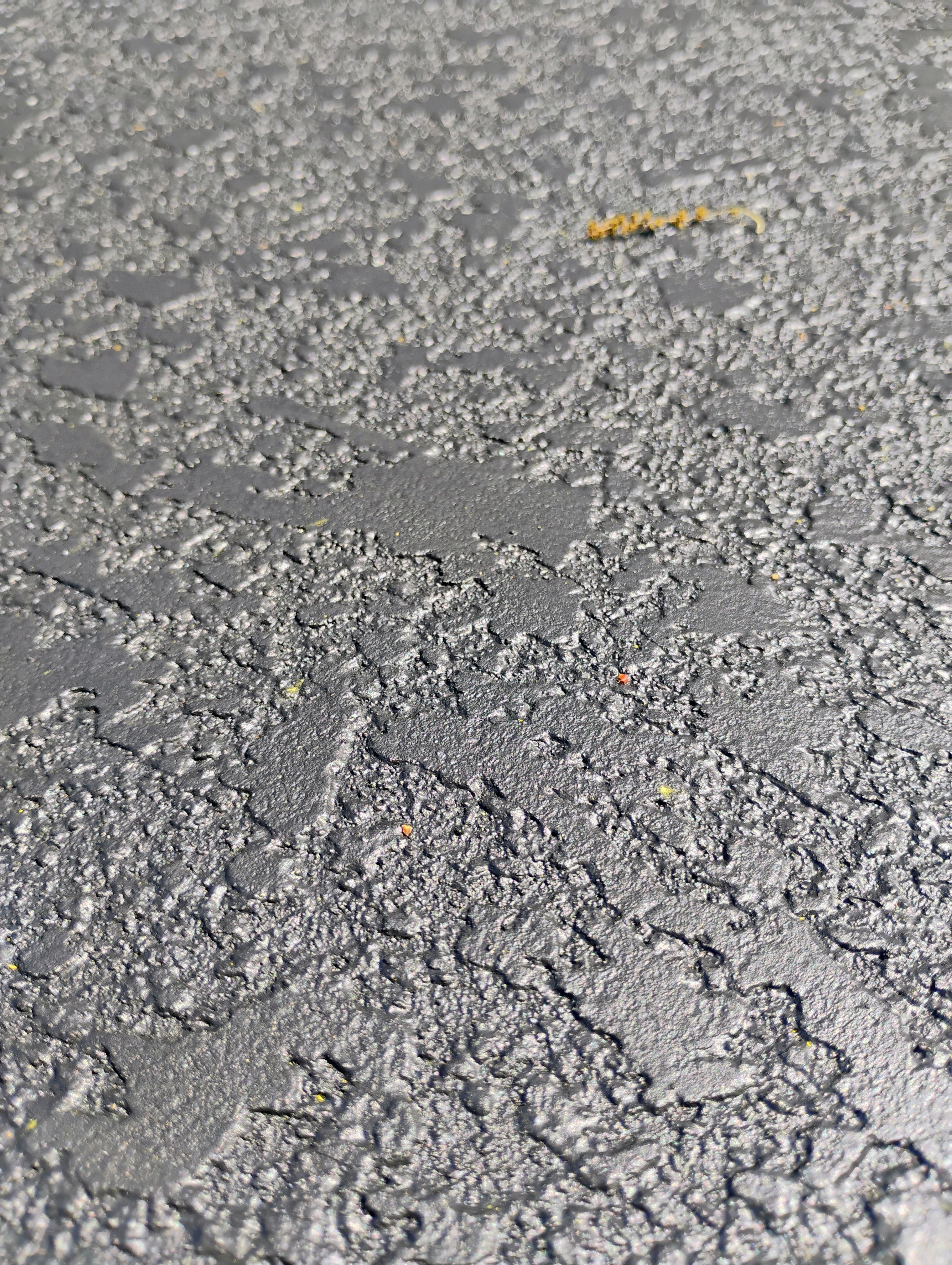  for American Acrylic Concrete Coatings in Longwood, FL