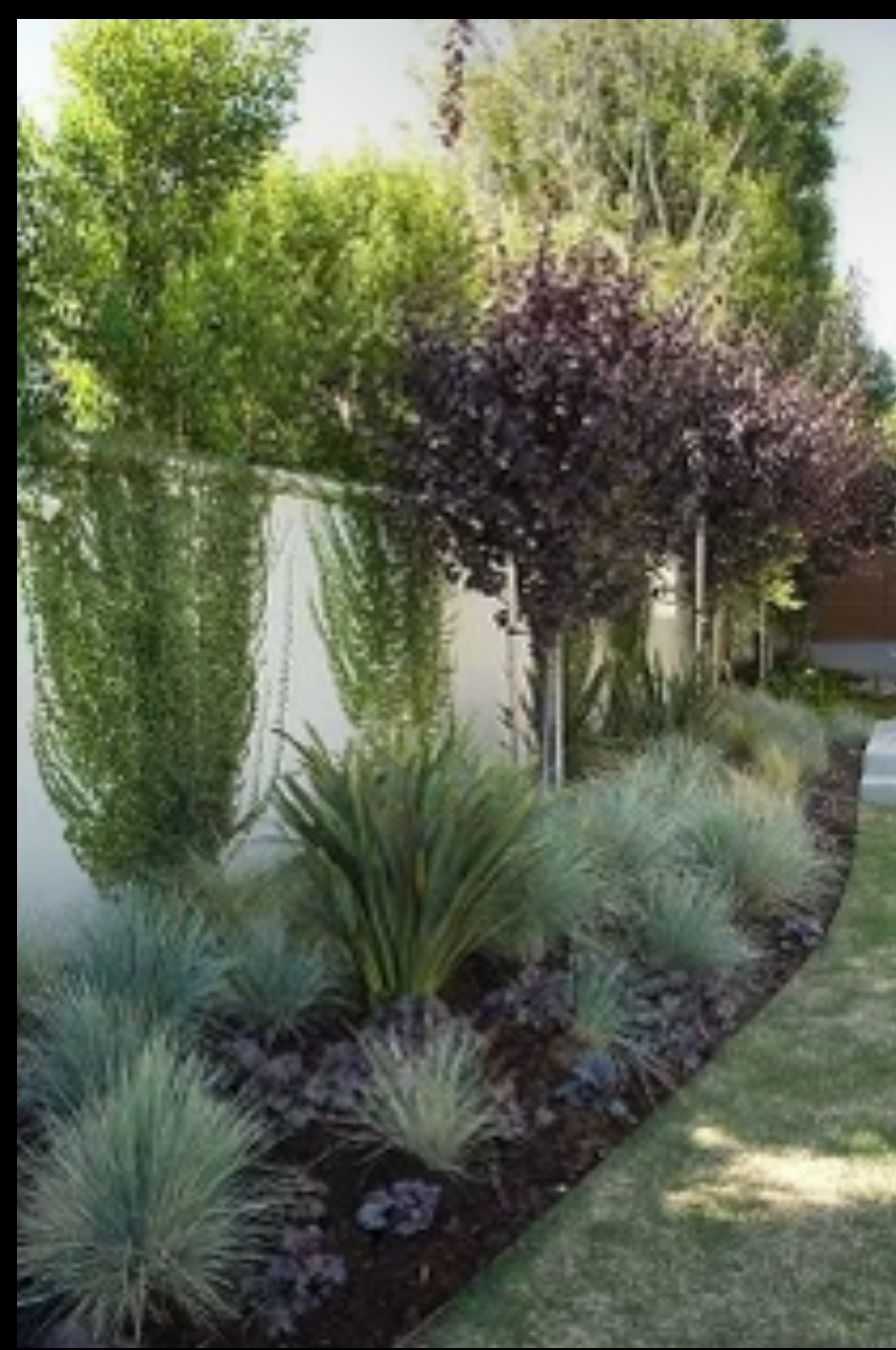 All Photos for Atlas Land Design in Creekside Park, TX