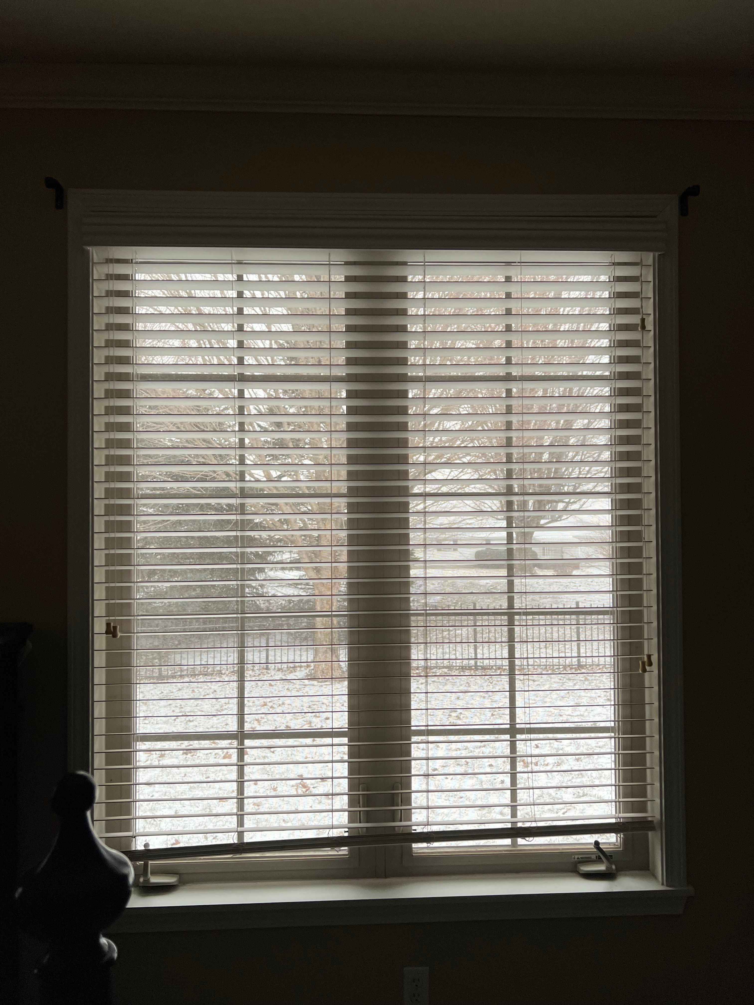 All Photos for Soapy Suds Services in St. Charles, IL