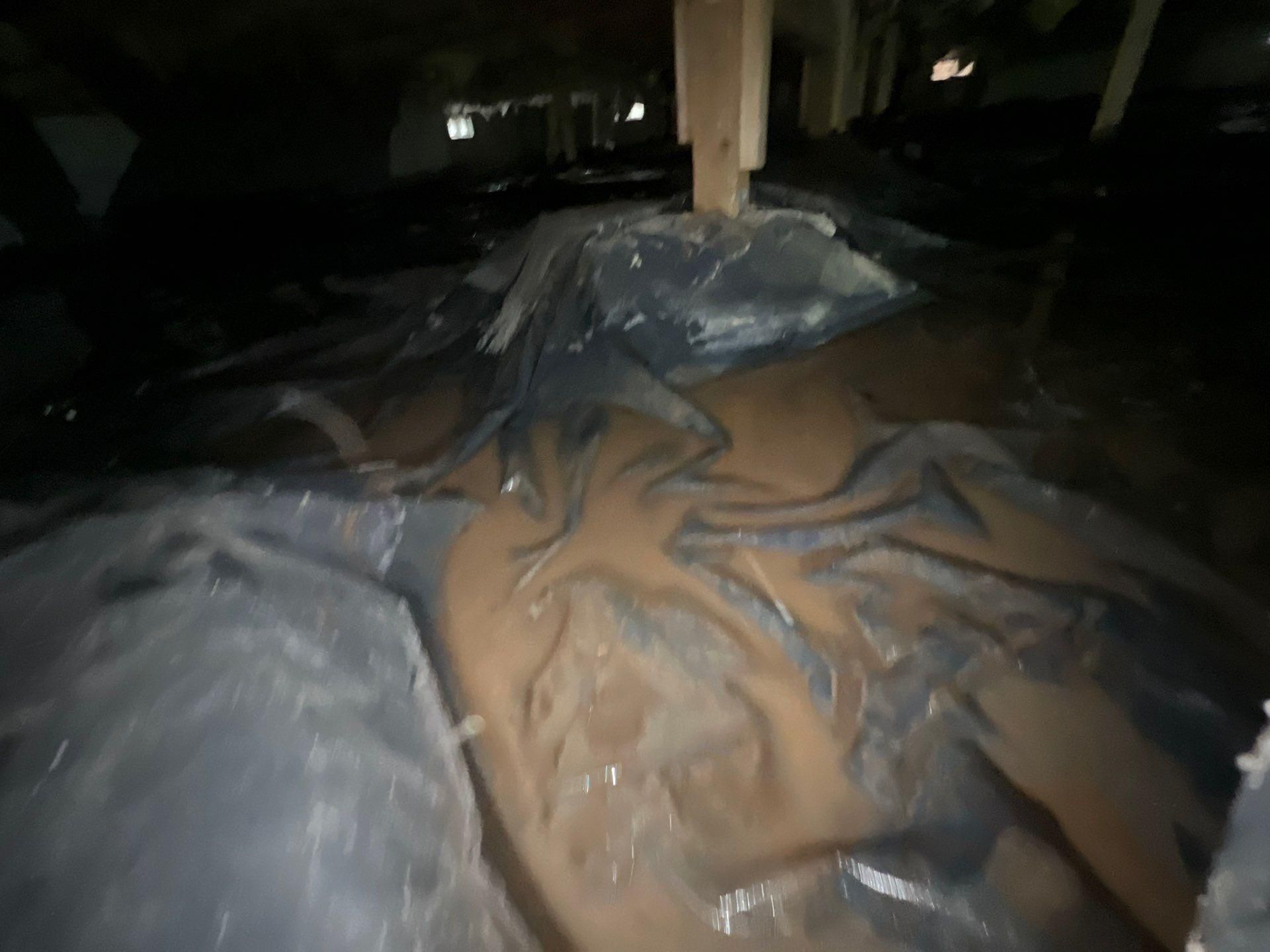 All Photos for No Fear Restoration in Port Angeles, WA