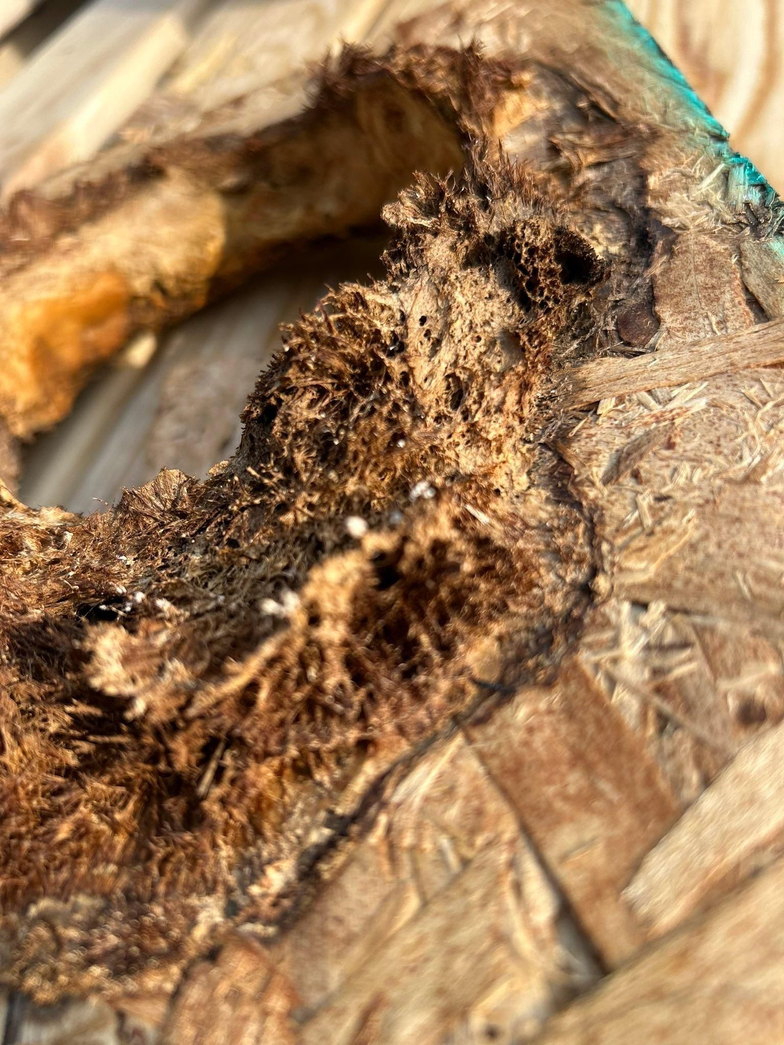 All Photos for Big Picture Construction & Design in Eldridge, IA