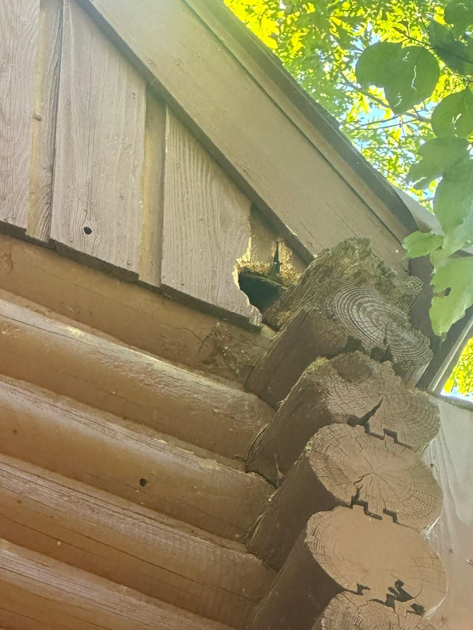 All Photos for KY Gutter Pro & Specialty Roofing Systems in Monticello, KY