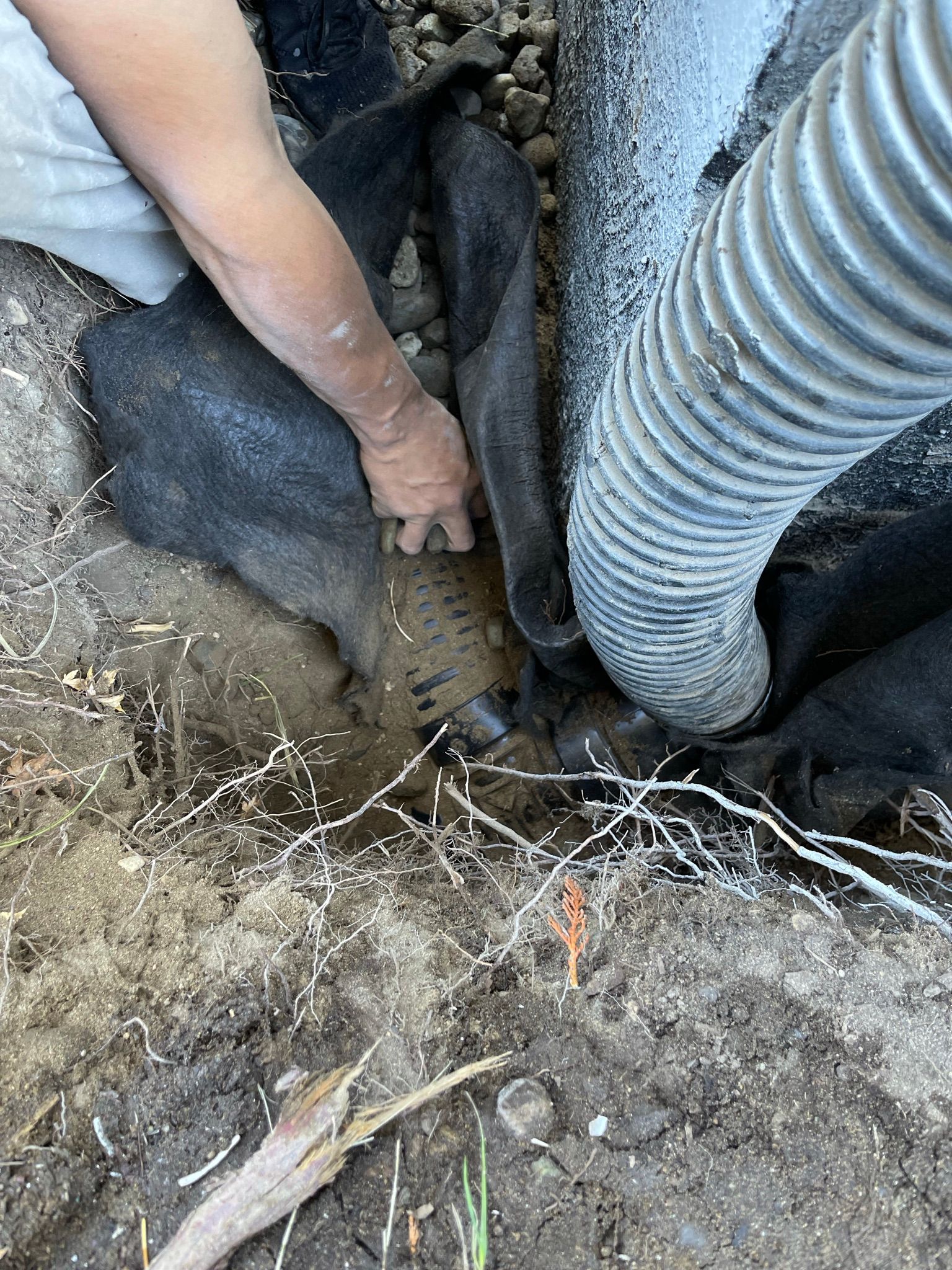  for Tony's Remodeling & Painting in Renton, WA