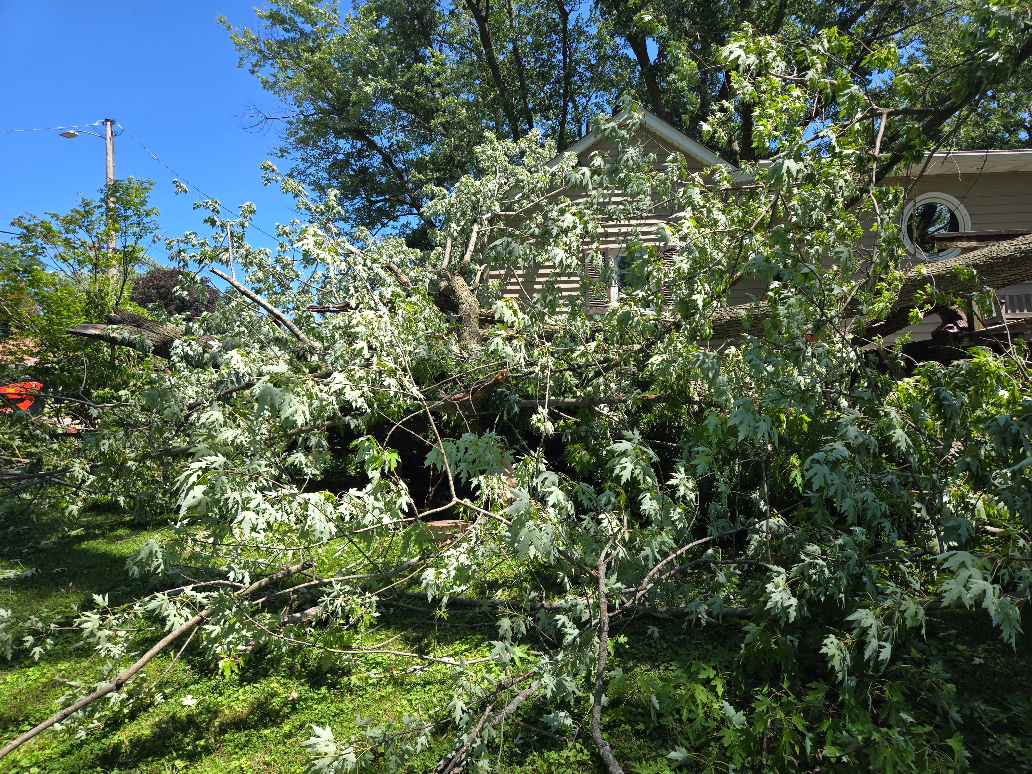  for Lawn Ranger Yard And Tree Service LLC in Ottumwa, IA