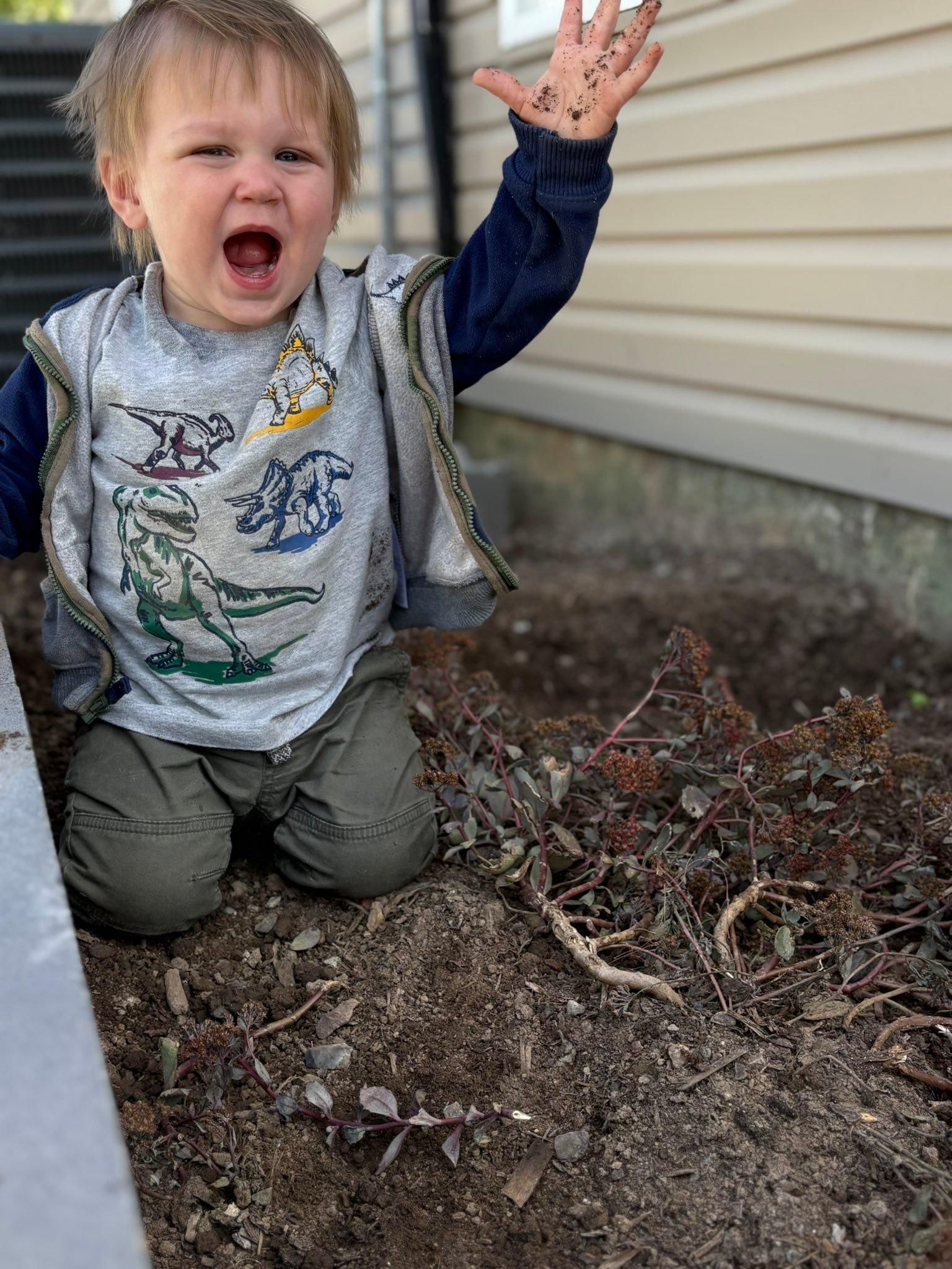  for Russo’s Landscaping & Tree Removal in Levittown, PA