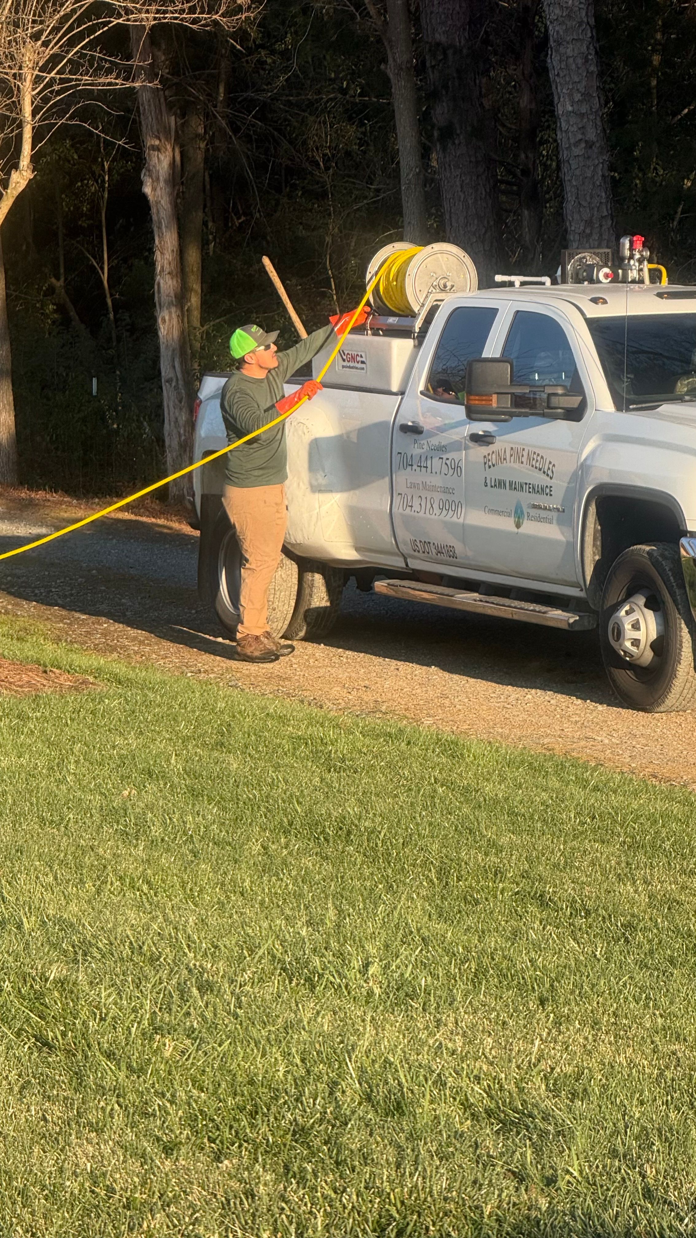  for Pecina Pine Needles in Monroe, NC