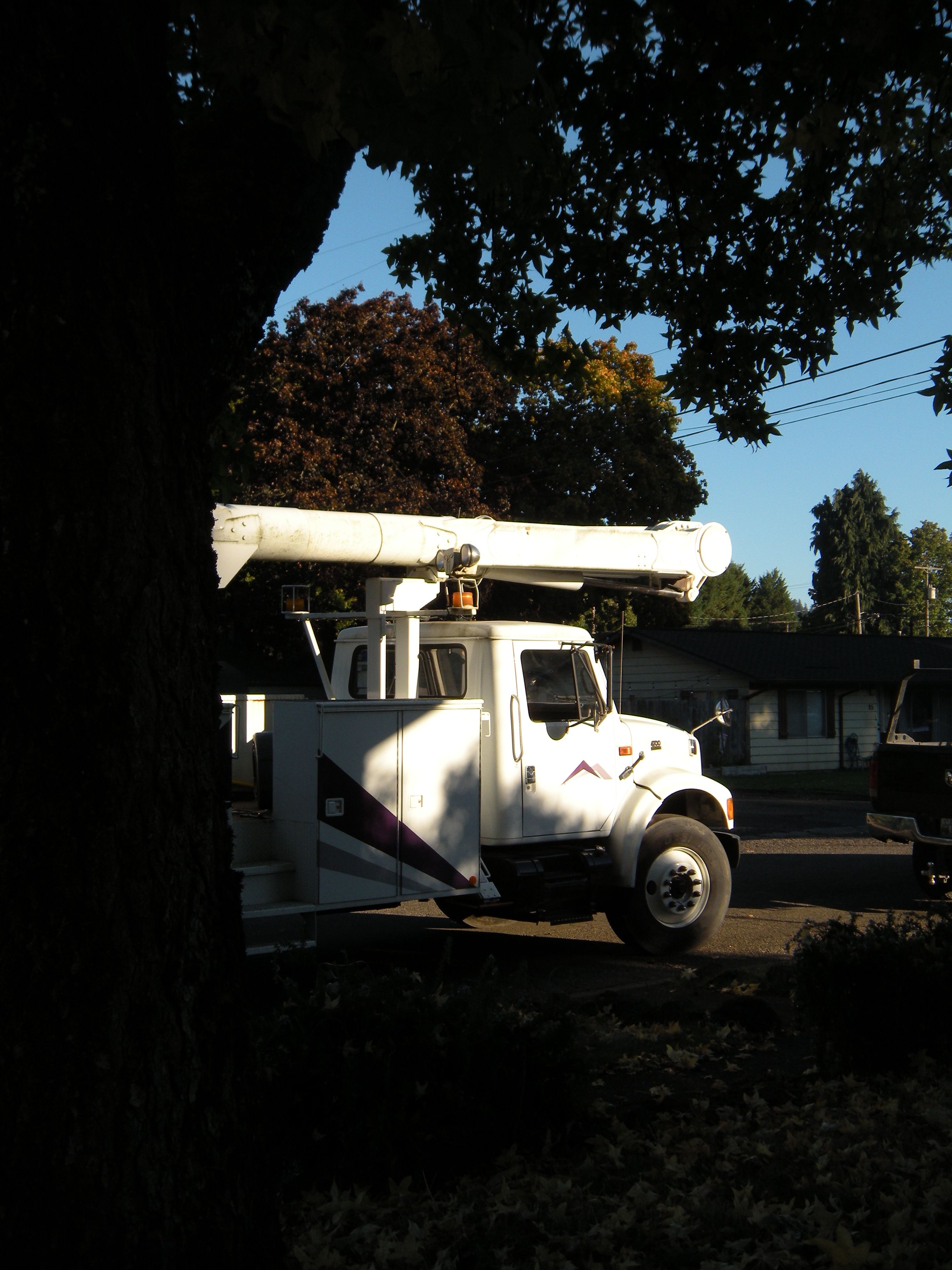  for Willamette Landscaping and Tree Services in Albany, OR
