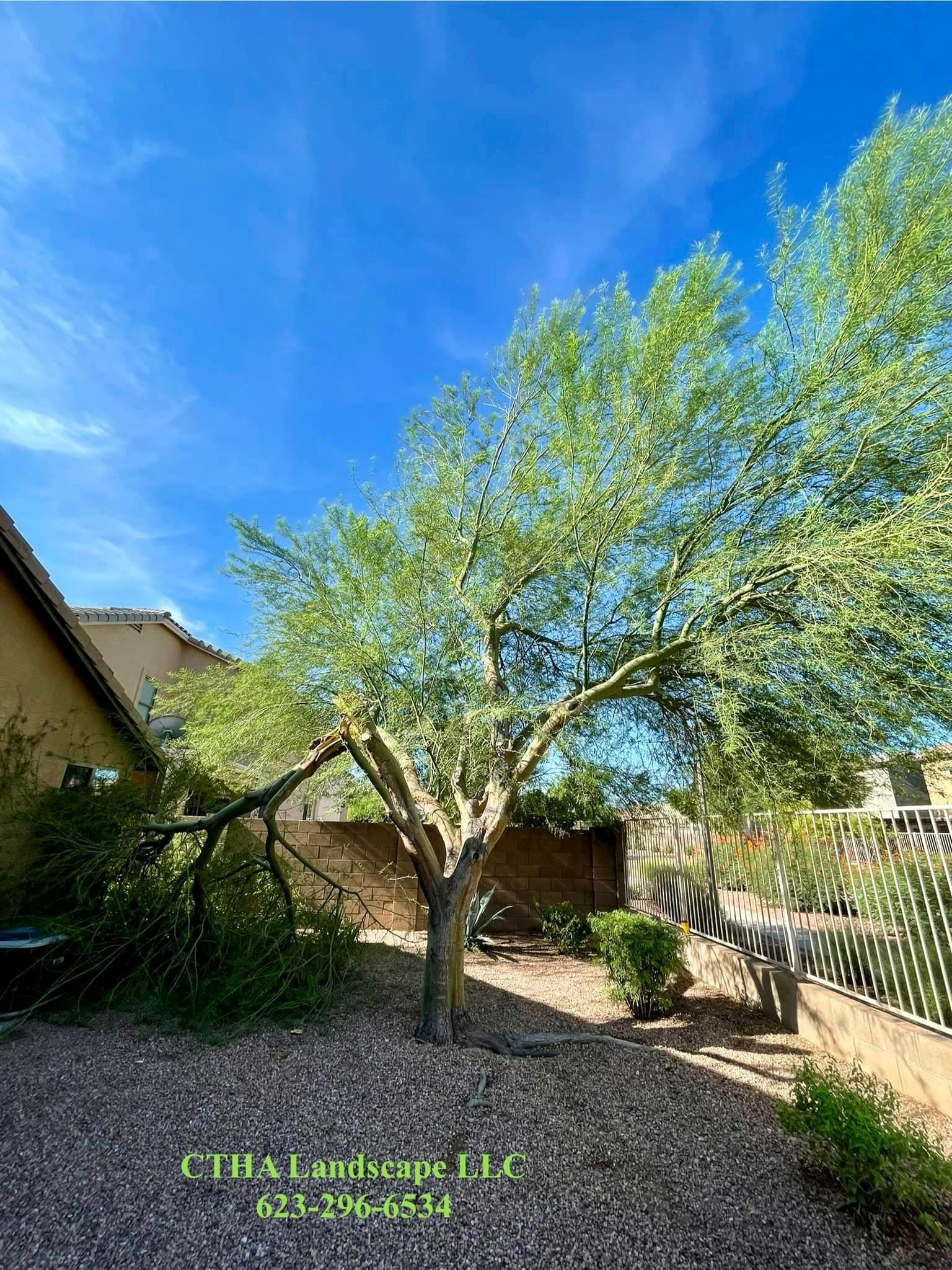  for CTHA Landscape in Phoenix, AZ