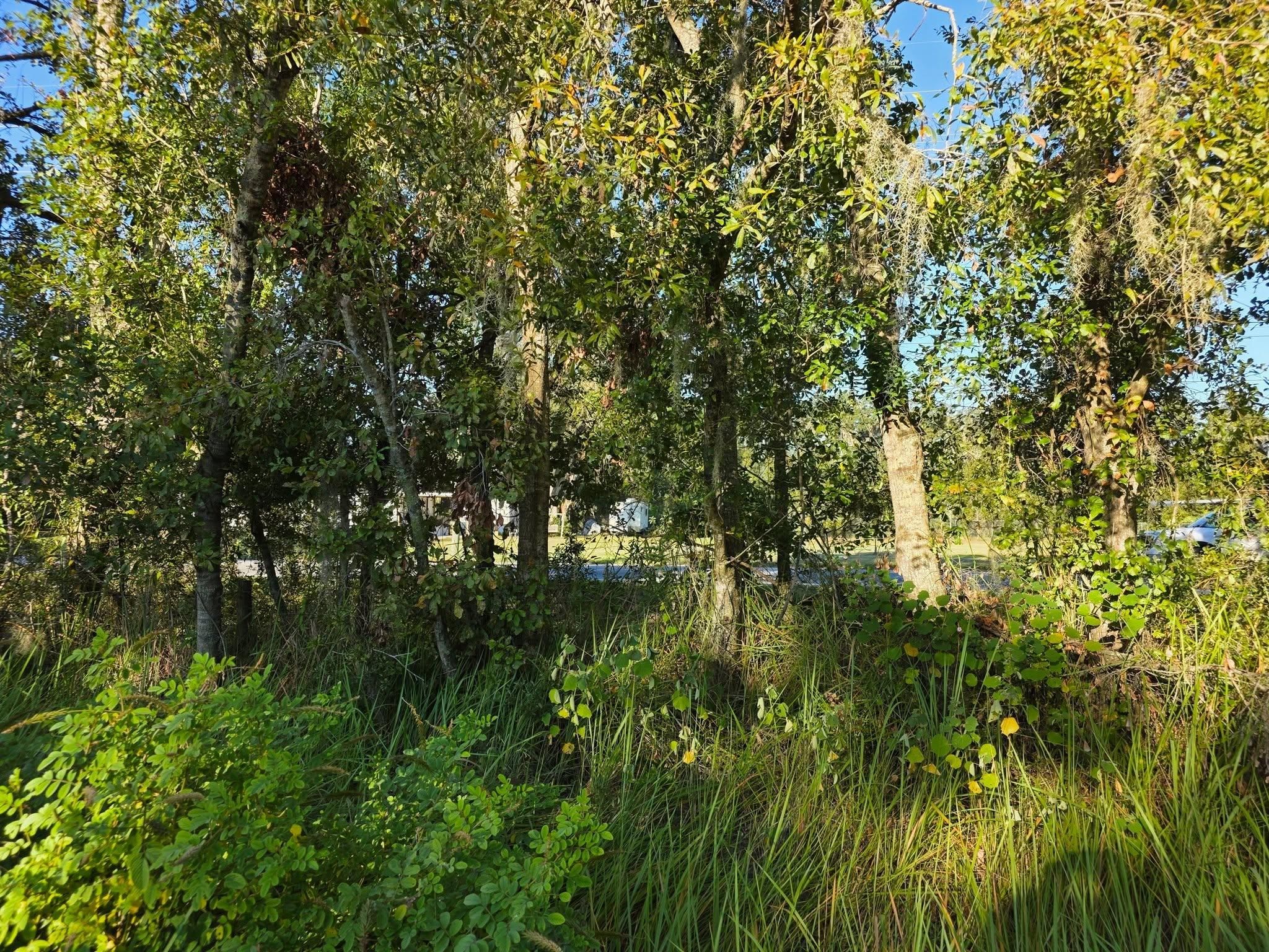  for Bay Area Bobcat in Riverview, FL