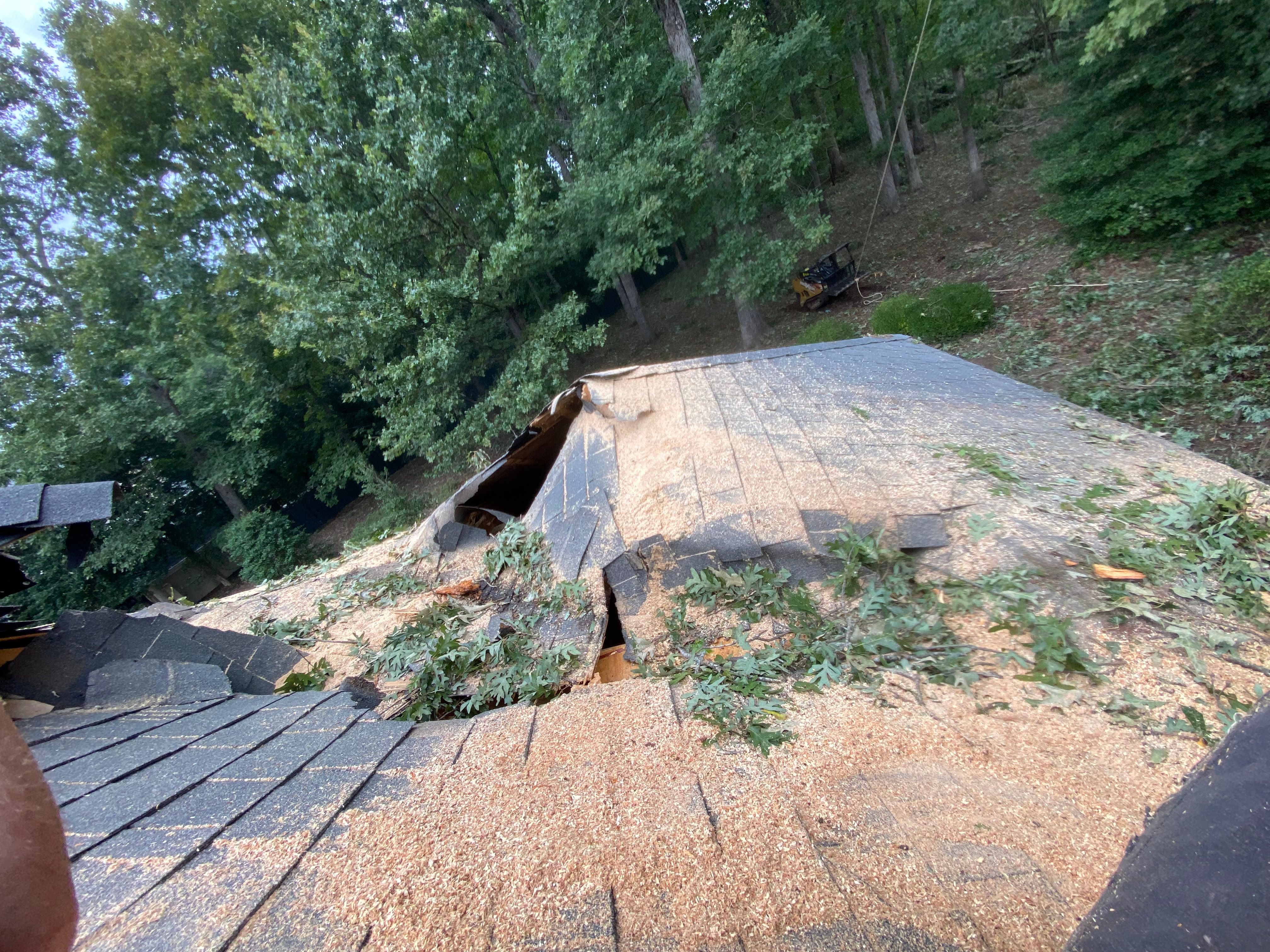 Tree Removal for Diversified Tree Company in Trinity, NC