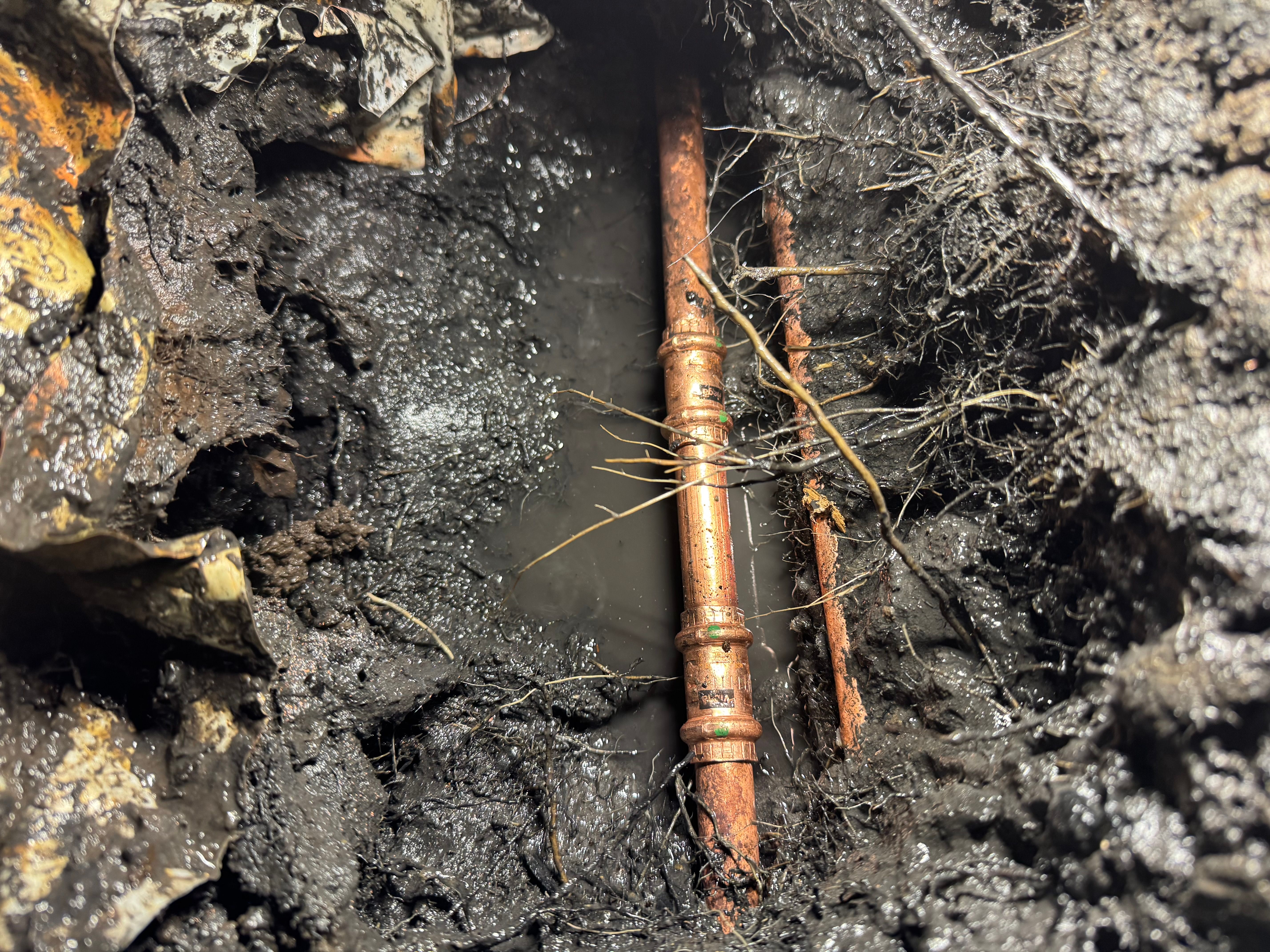  for HDZ Integrity Plumbing LLC in Forney, TX