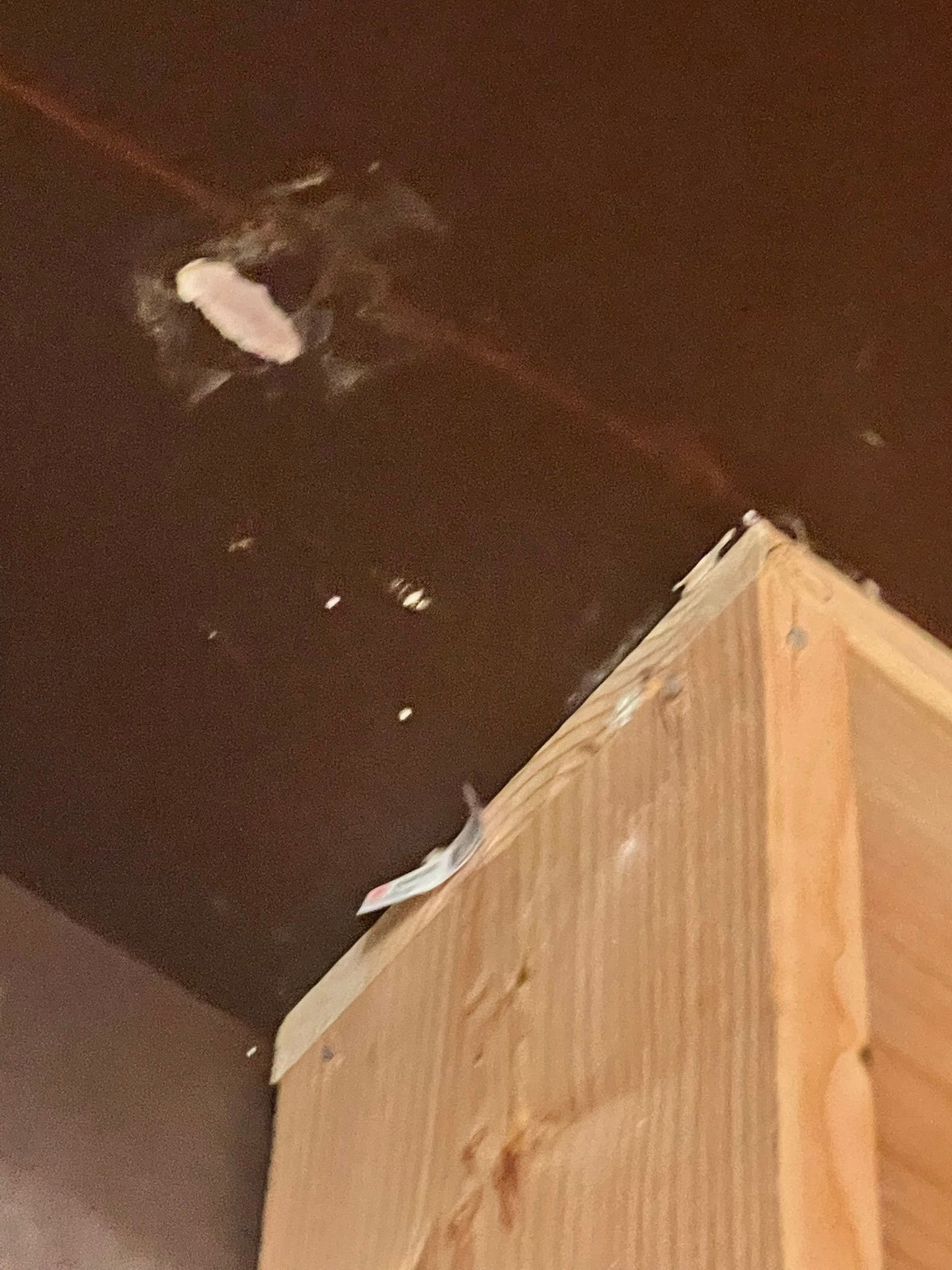  for Tony's Remodeling & Painting in Renton, WA