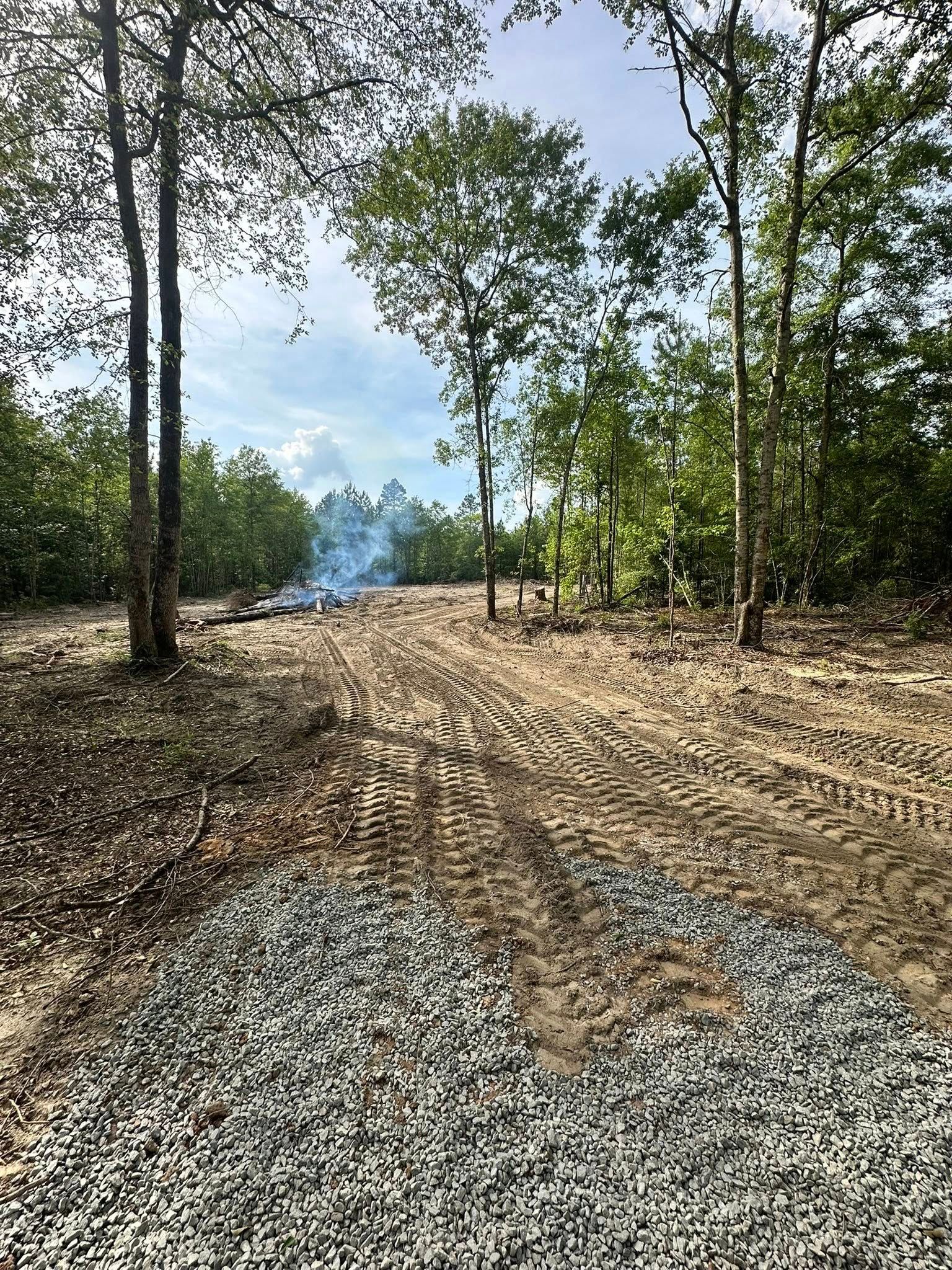 Tree Removal for Page Outdoor Services in Wrightsville, GA