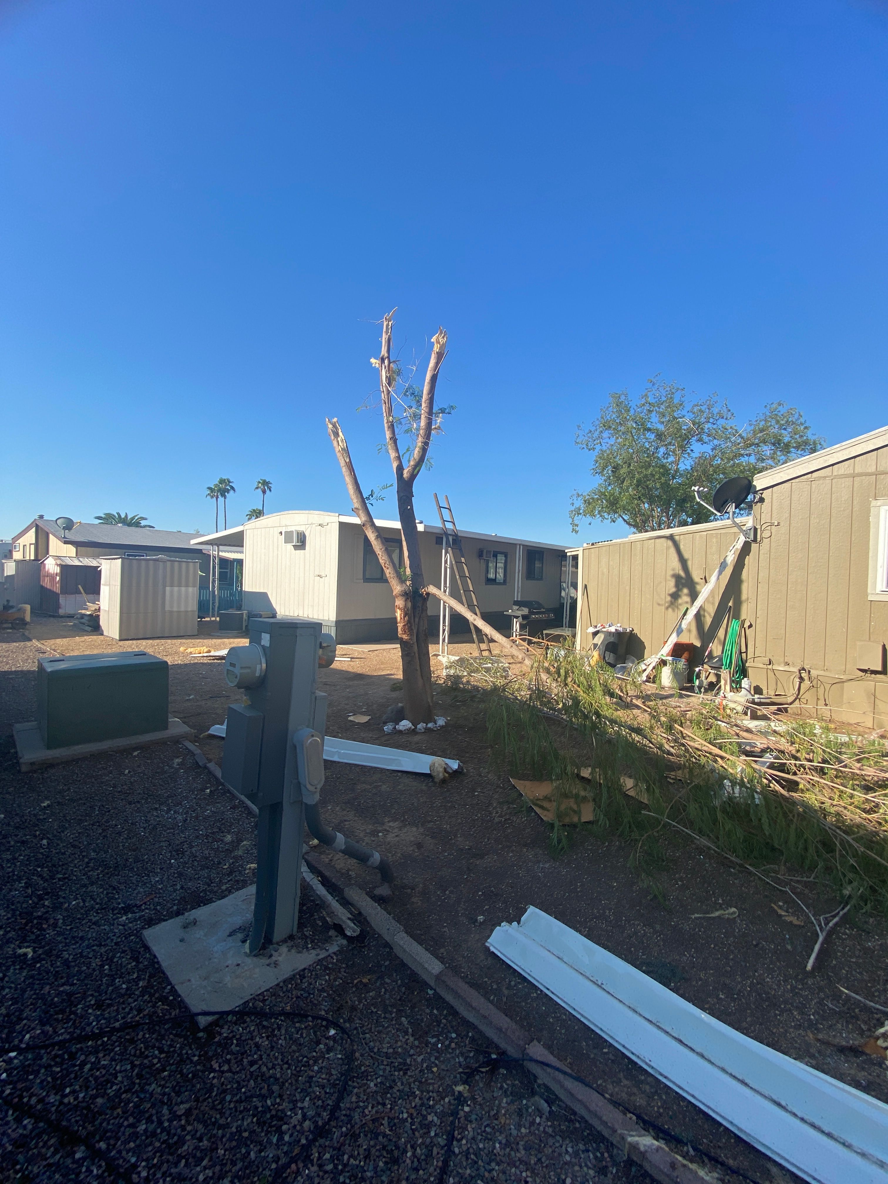 Emergency services  for AZ Tree & Hardscape Co in Surprise, AZ