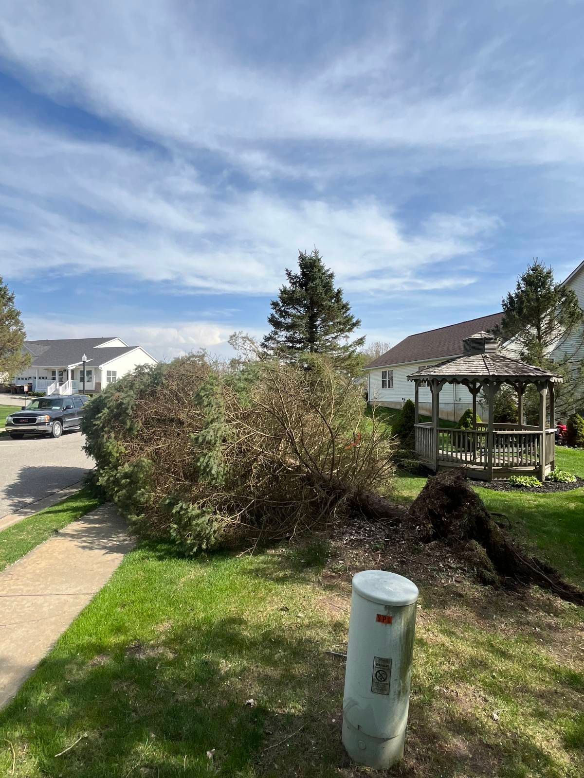  for D Hale Tree Service in Dexter, MI
