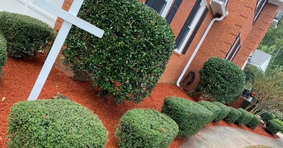 Landscaping for Sparks Landscaping in Augusta, GA