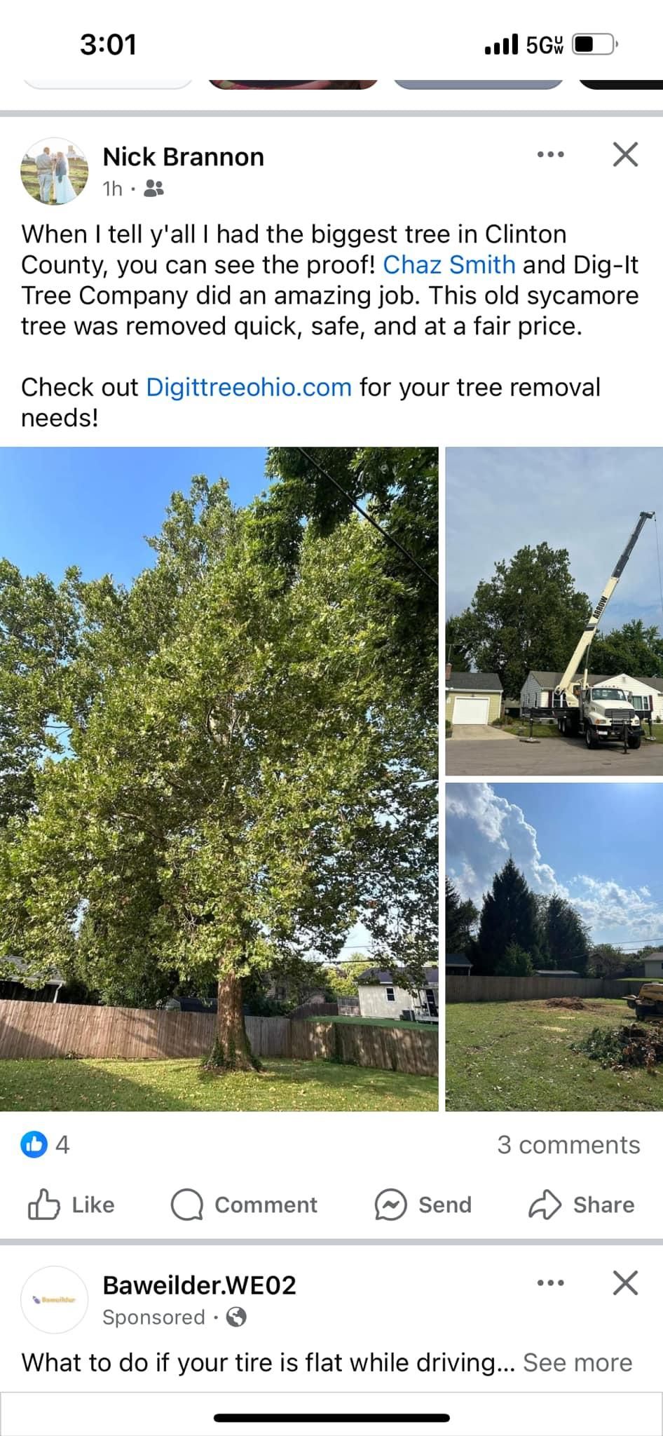  for Dig-It Tree Company in , 