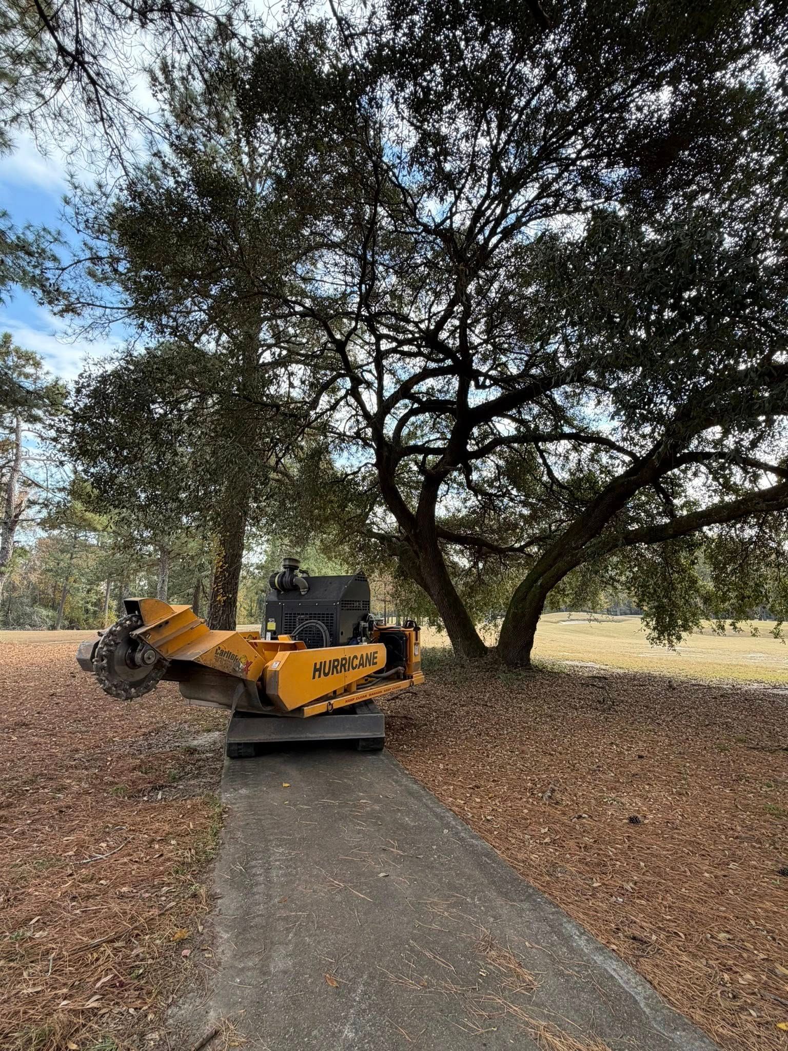  for Dozier Stump Grinding in Augusta, GA