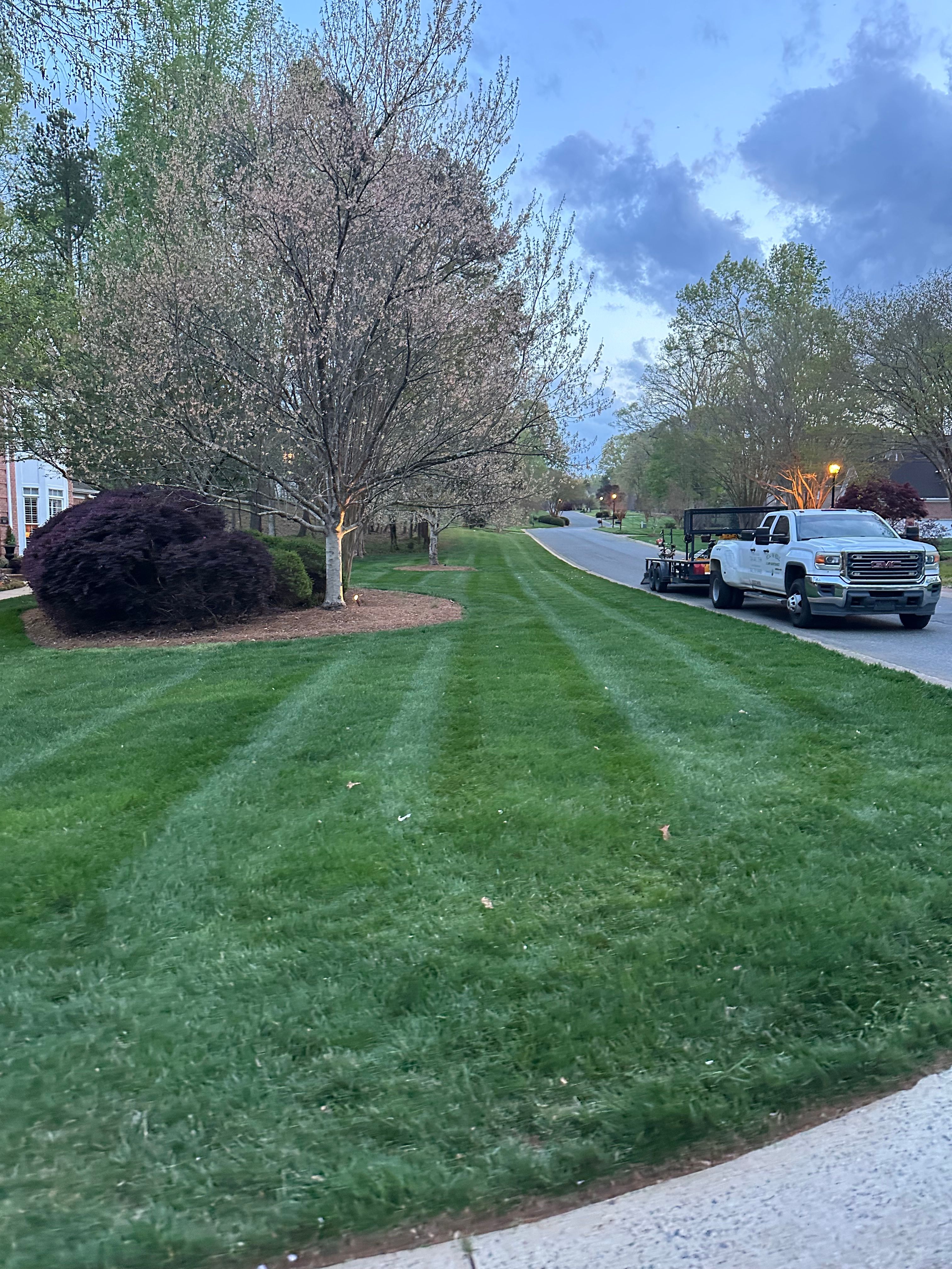  for Pecina Pine Needles in Monroe, NC