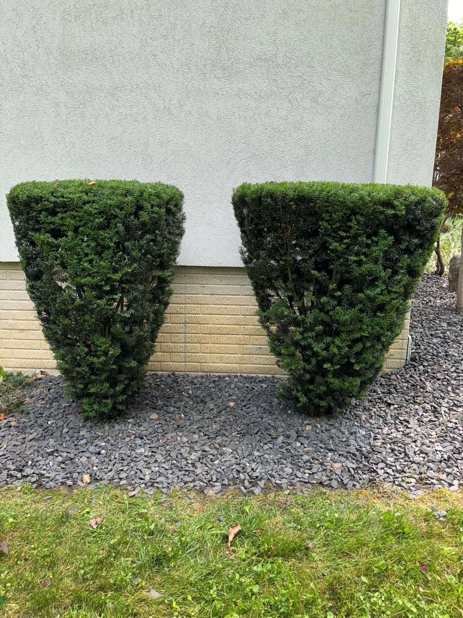  for Lopez Landscaping & Snow Removal LLC in Conneaut, OH