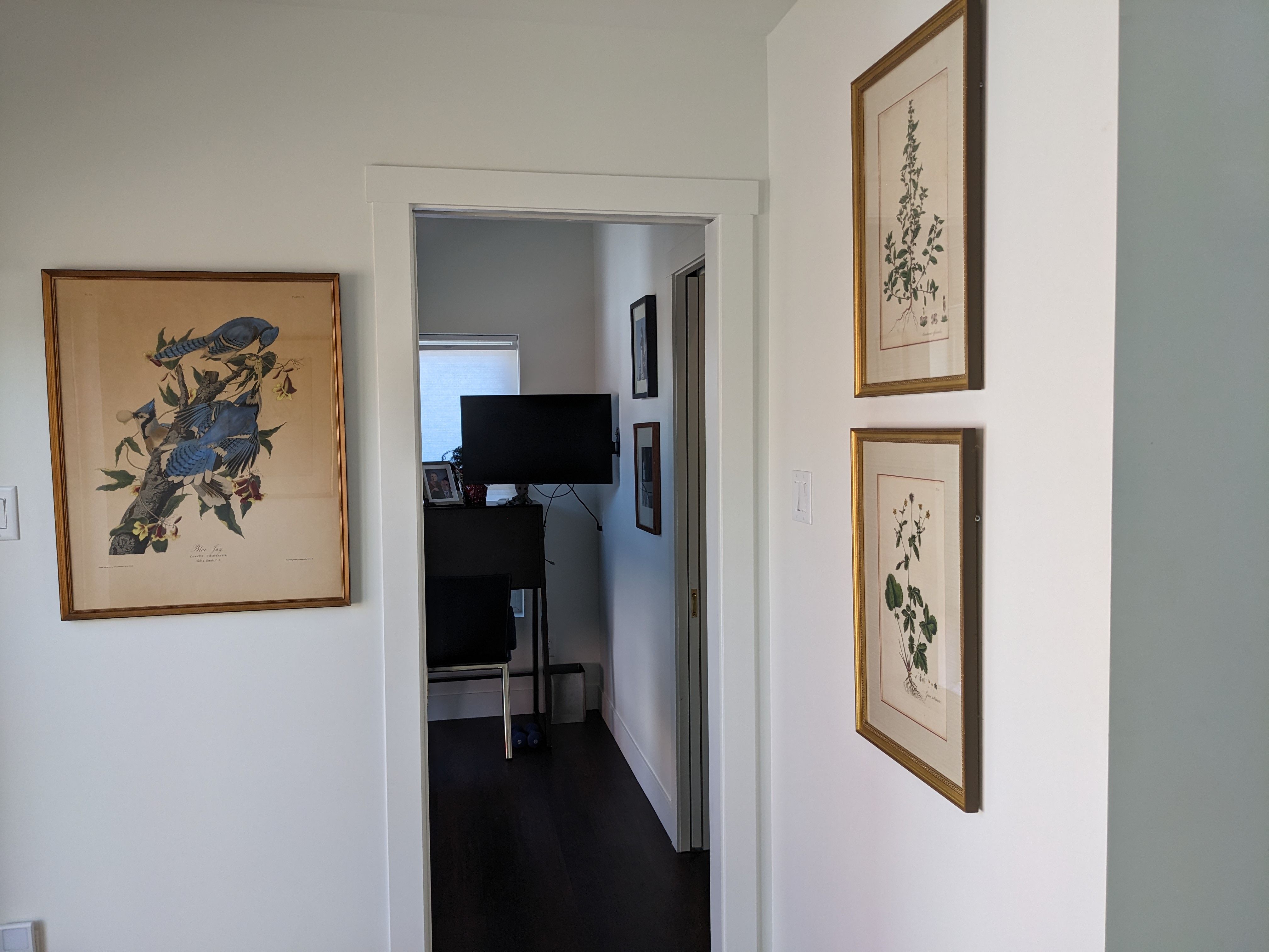  for Radiant Homes LLC in Fort Collins, CO