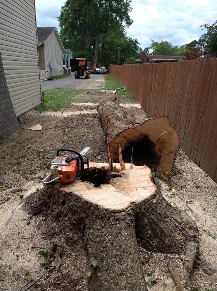  for James River Tree Service in Suffolk, VA