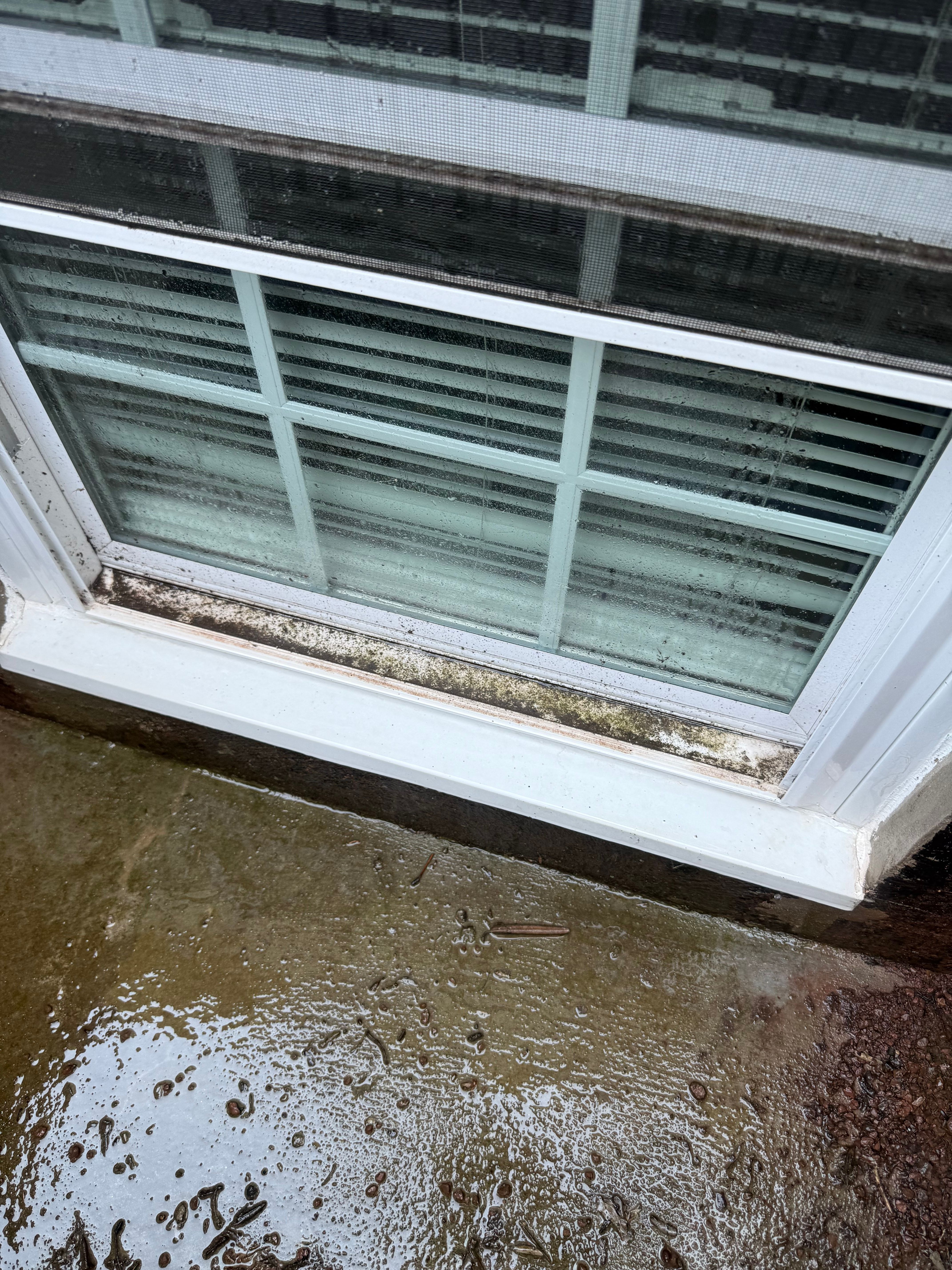  for Wehler’s Clean Windows LLC in Saint Marys, PA