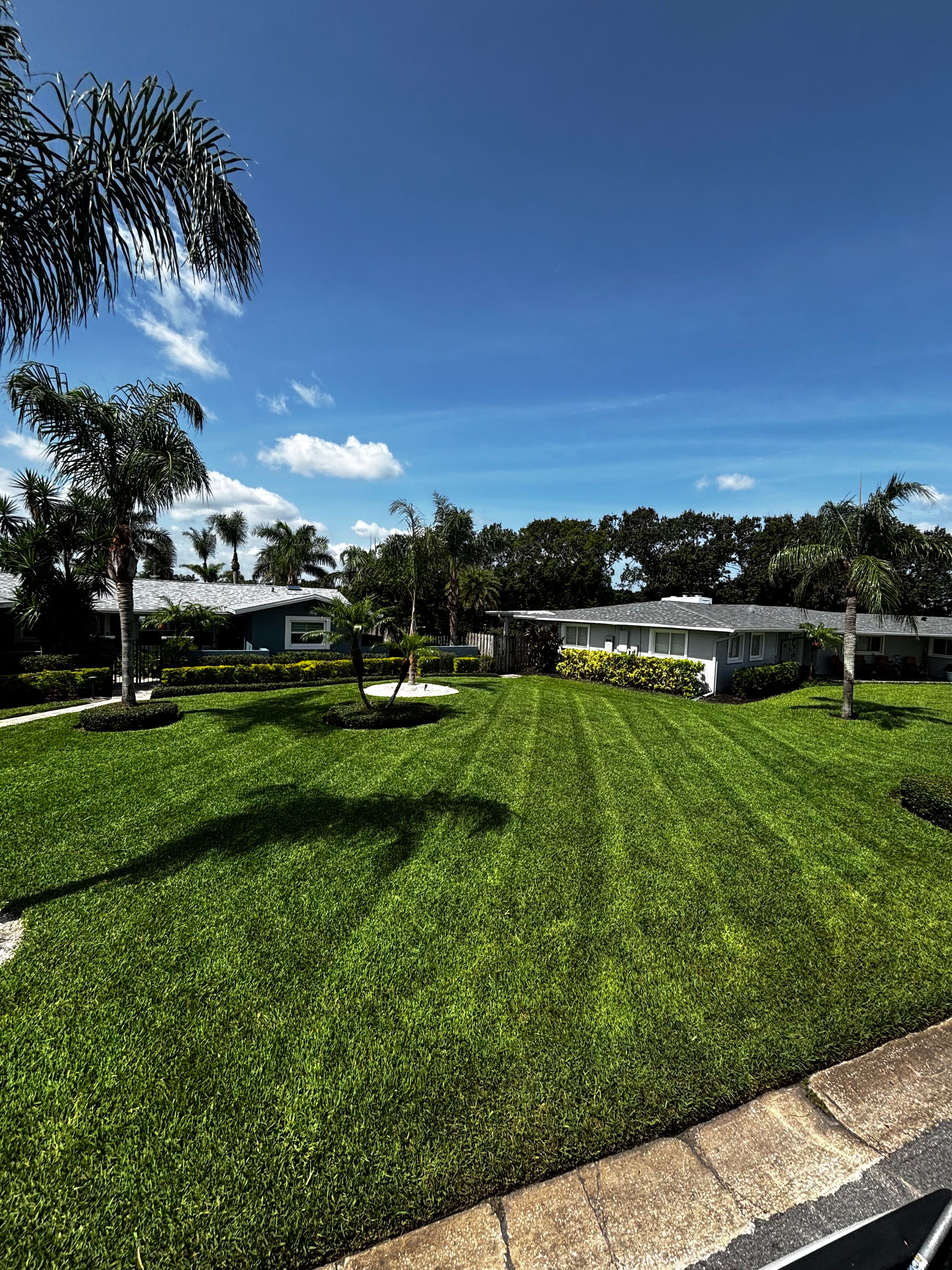  for Vanic's Landscaping in Port Orange, FL