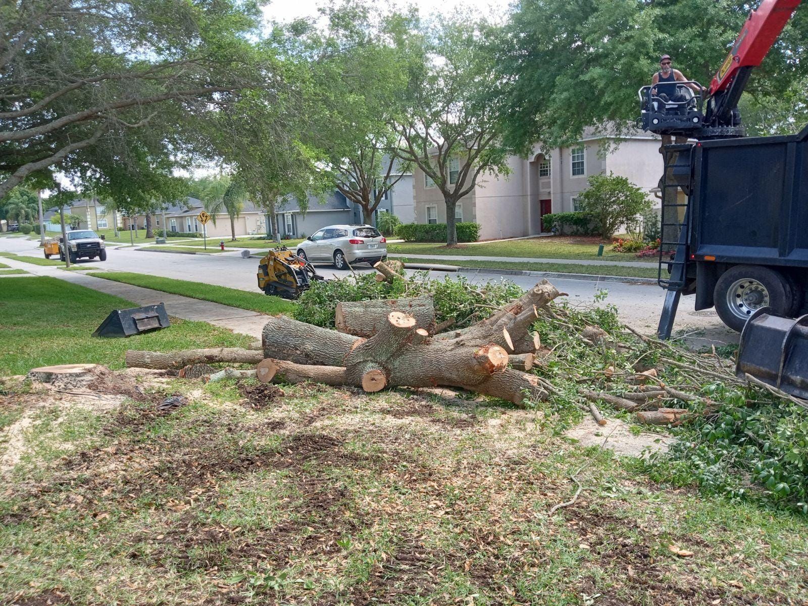  for A Southern Style Tree Service in Orlando, FL