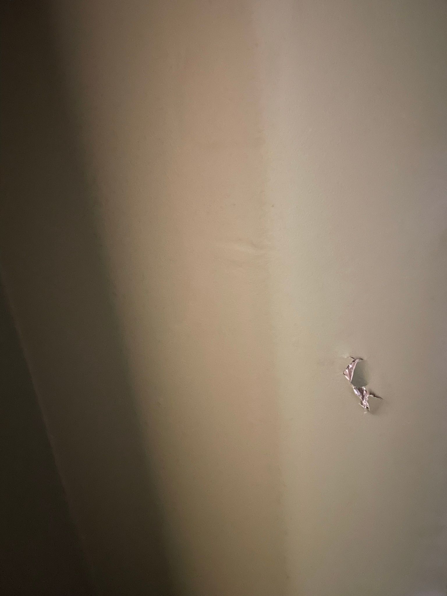  for Tony's Remodeling & Painting in Renton, WA