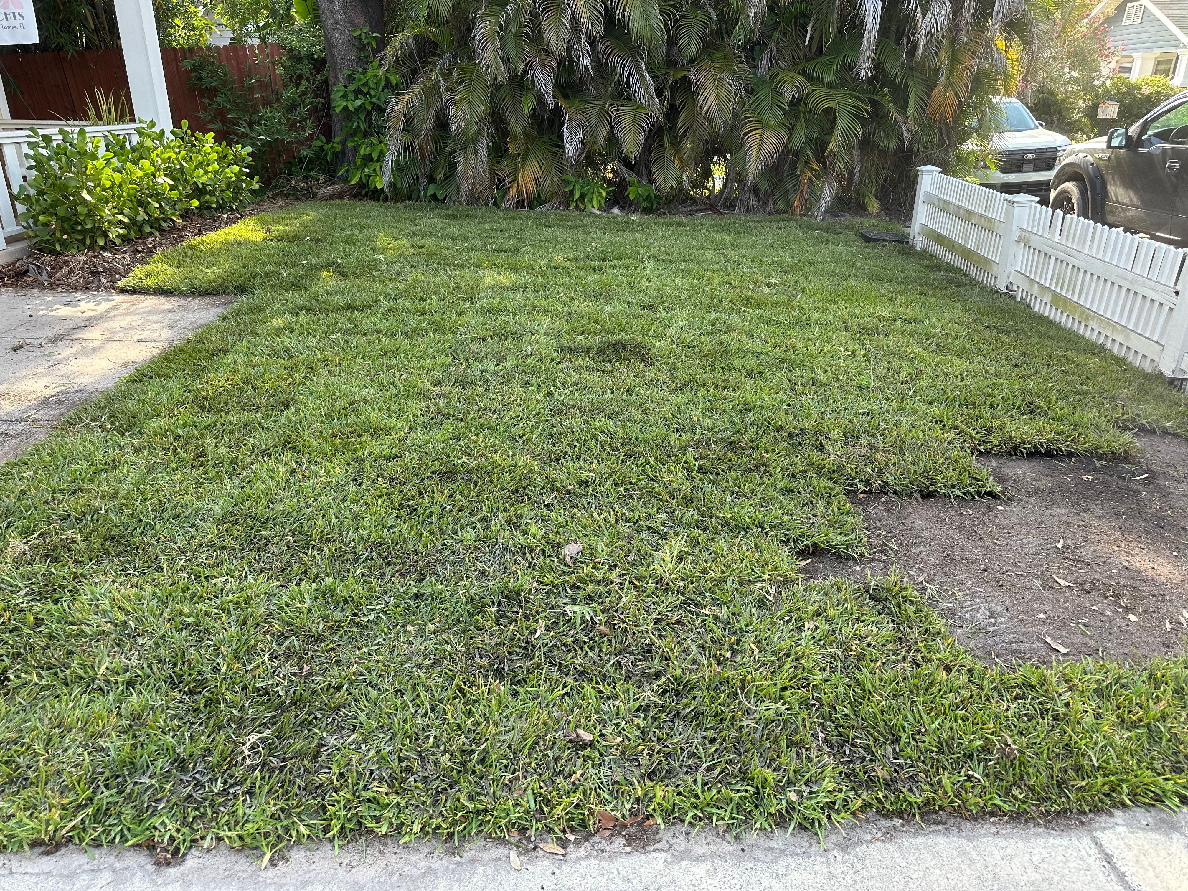 for Gulf Bay Sod in Clearwater, FL