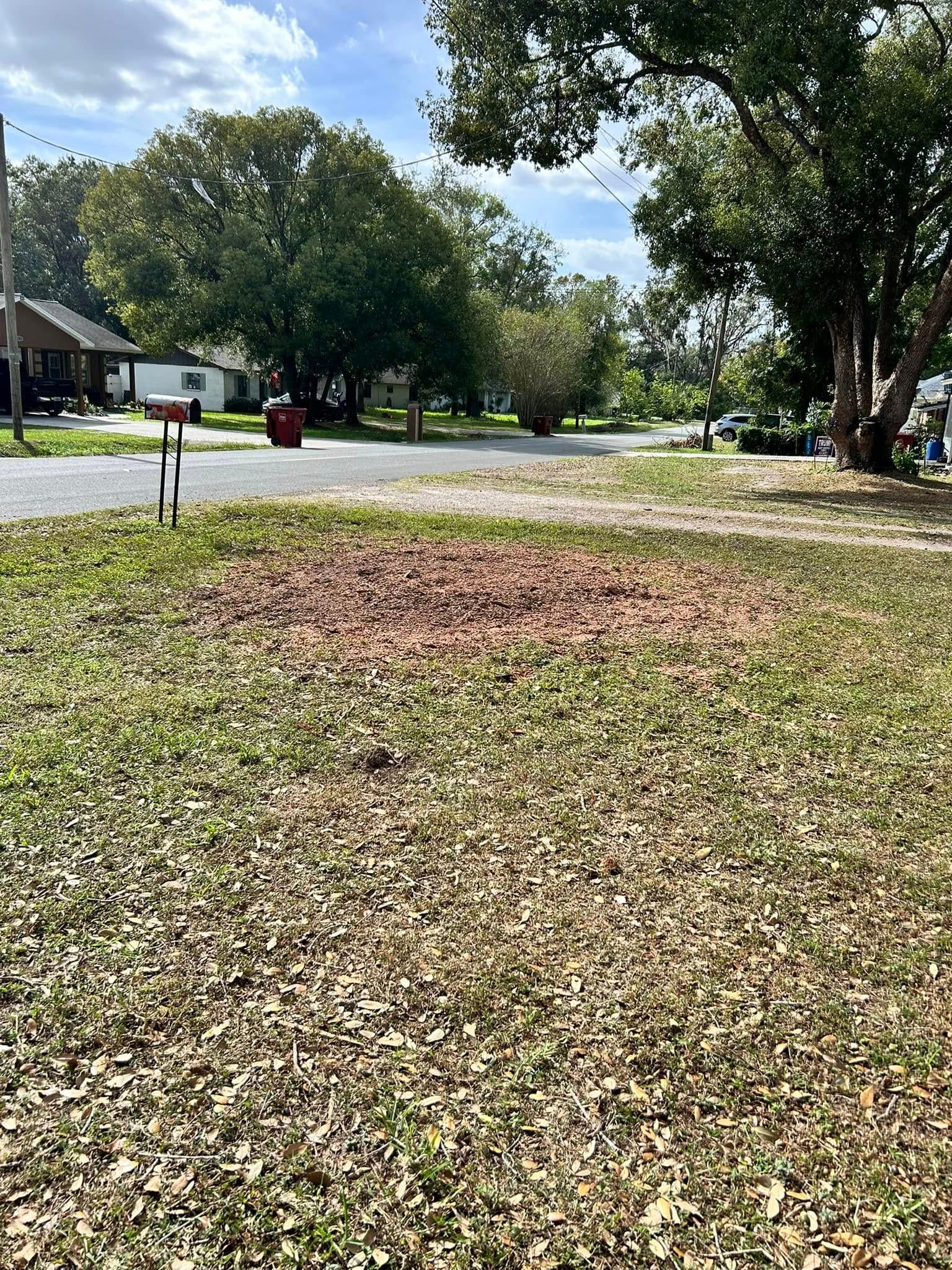  for Greene Acres Stump Grinding in Plant City, FL