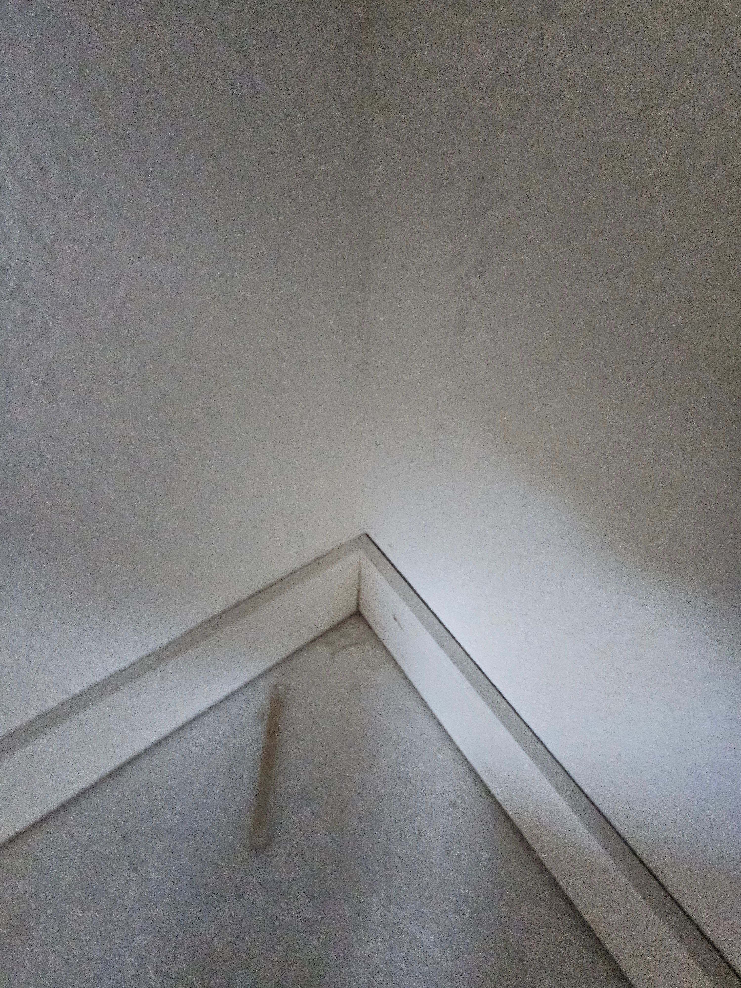  for Cotanny Construction LLC in Austin, TX