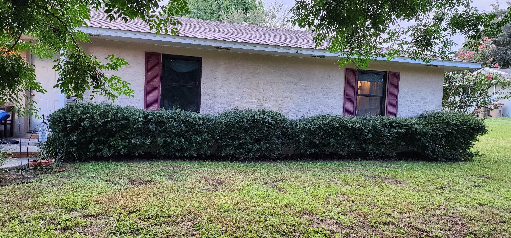  for Amerigrown Tree And Lawn in Apopka, FL