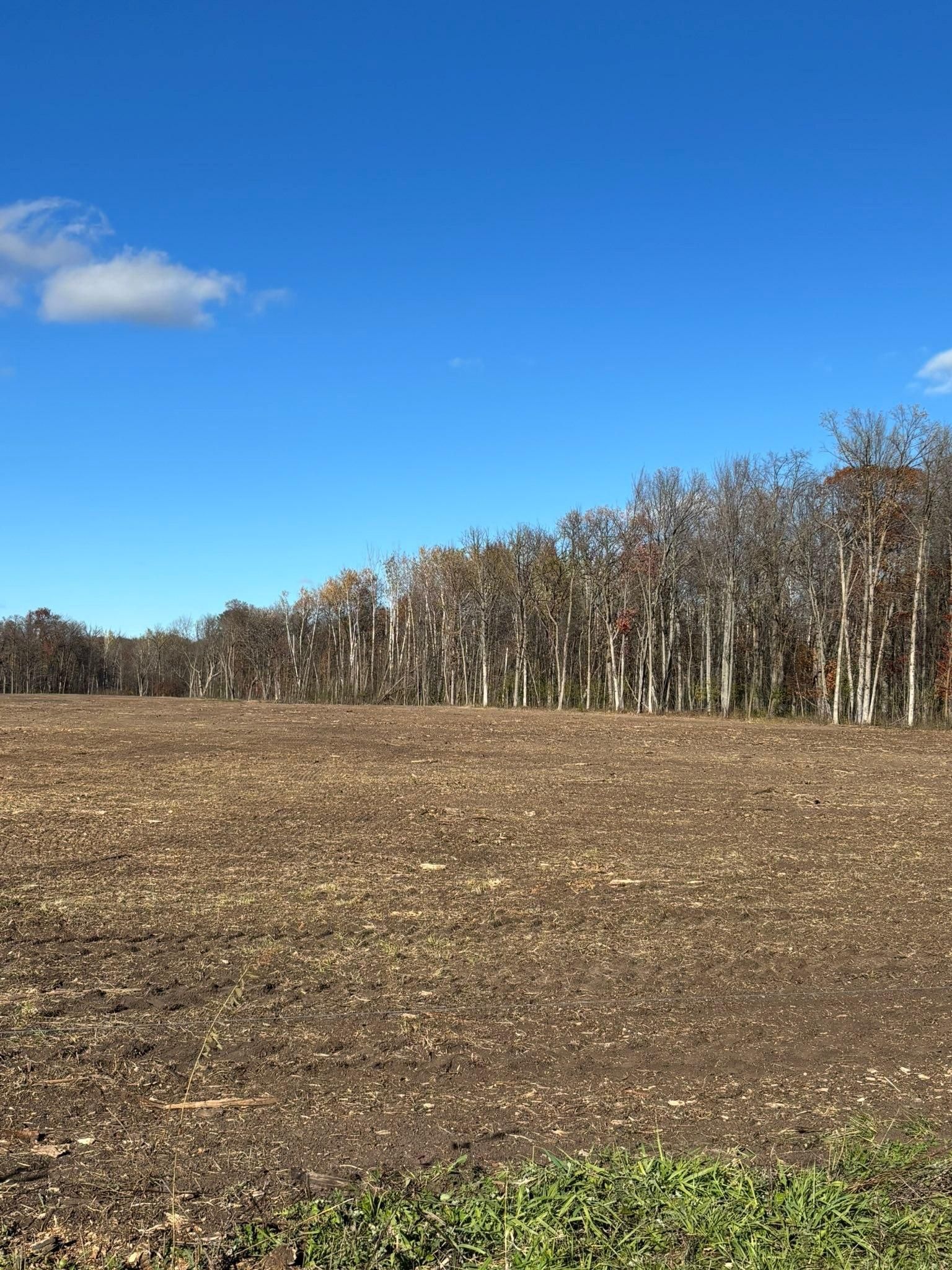  for Premier Services in New London, MN