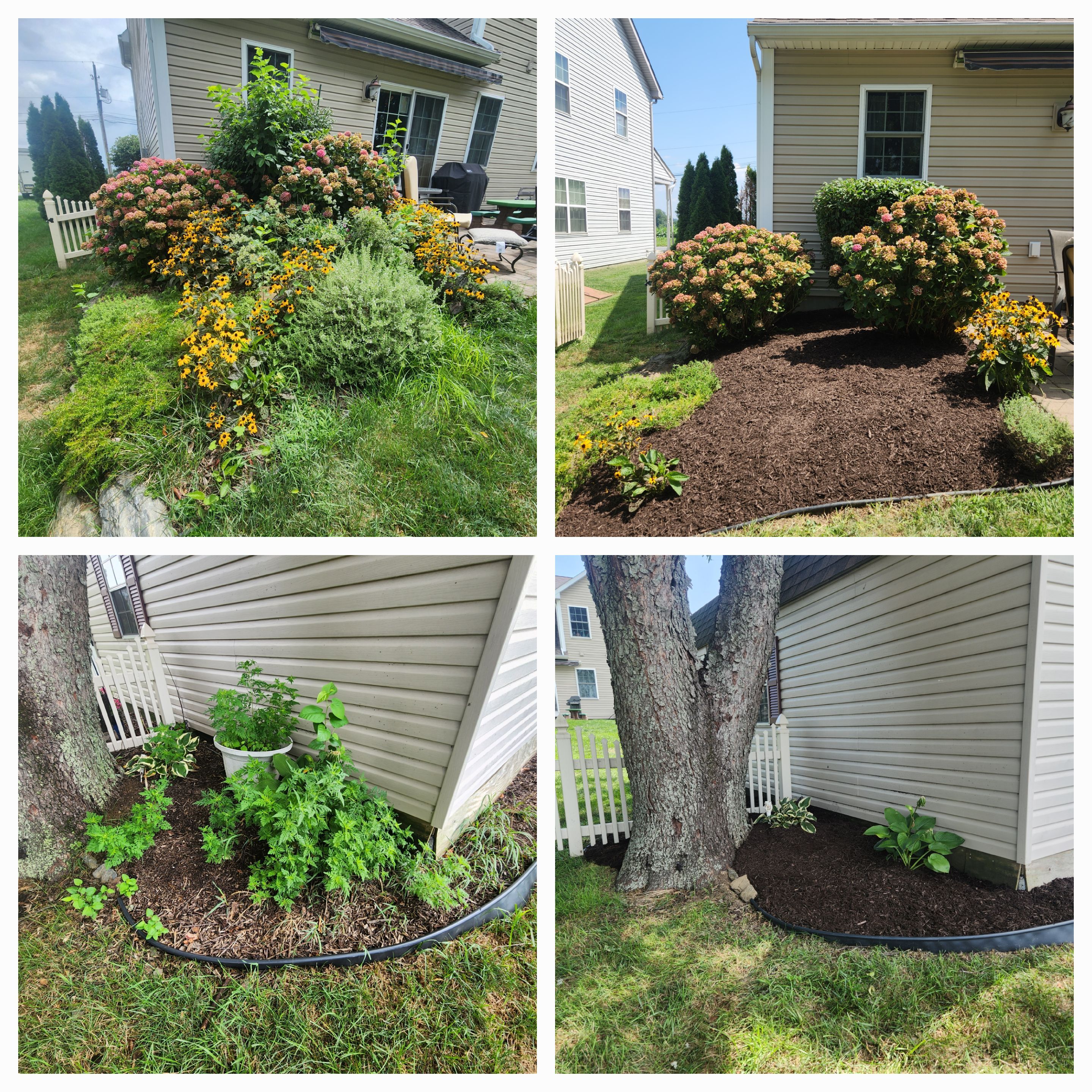 All Photos for Wiley Landscape Design in York, PA