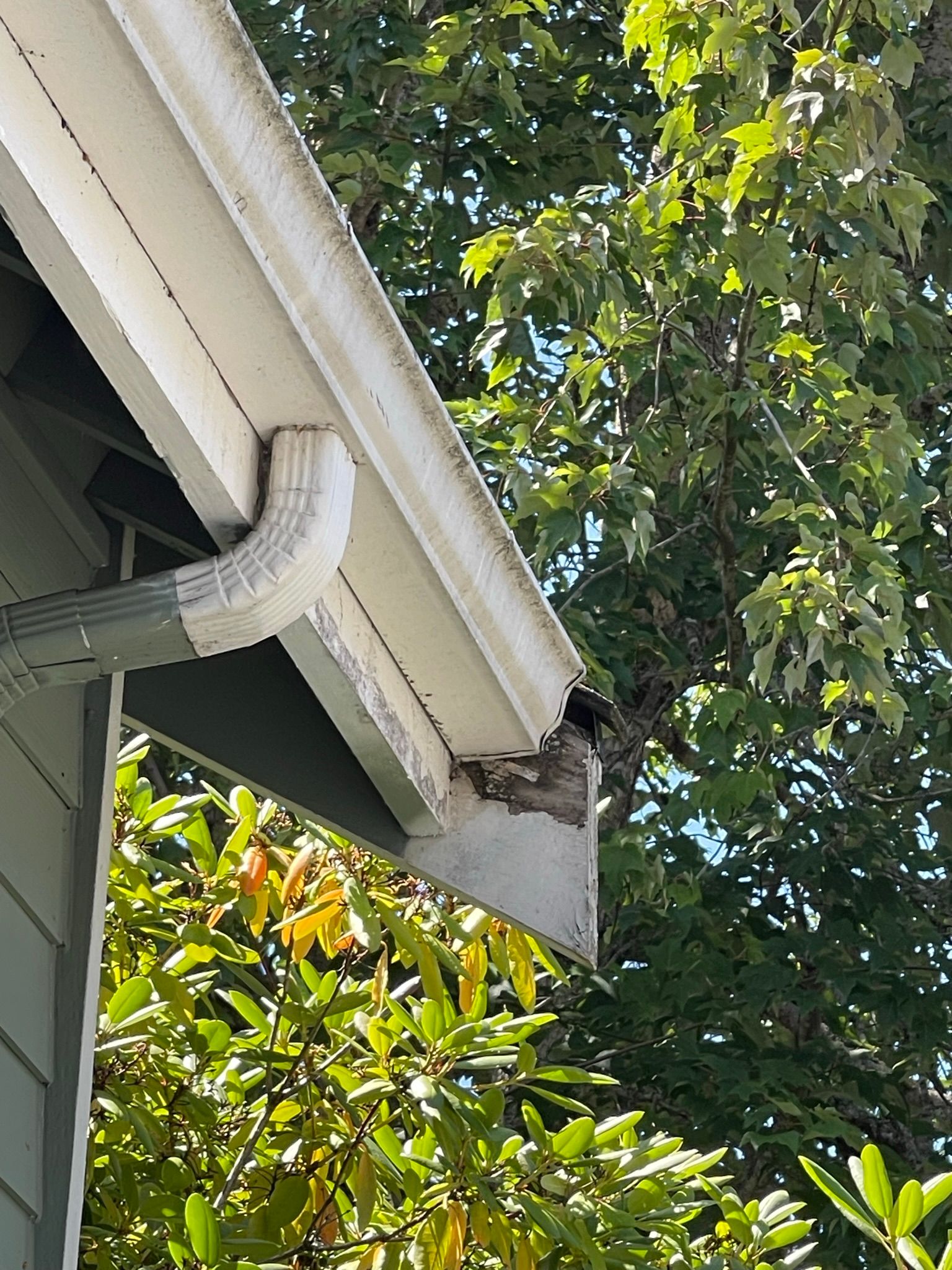  for Tony's Remodeling & Painting in Renton, WA