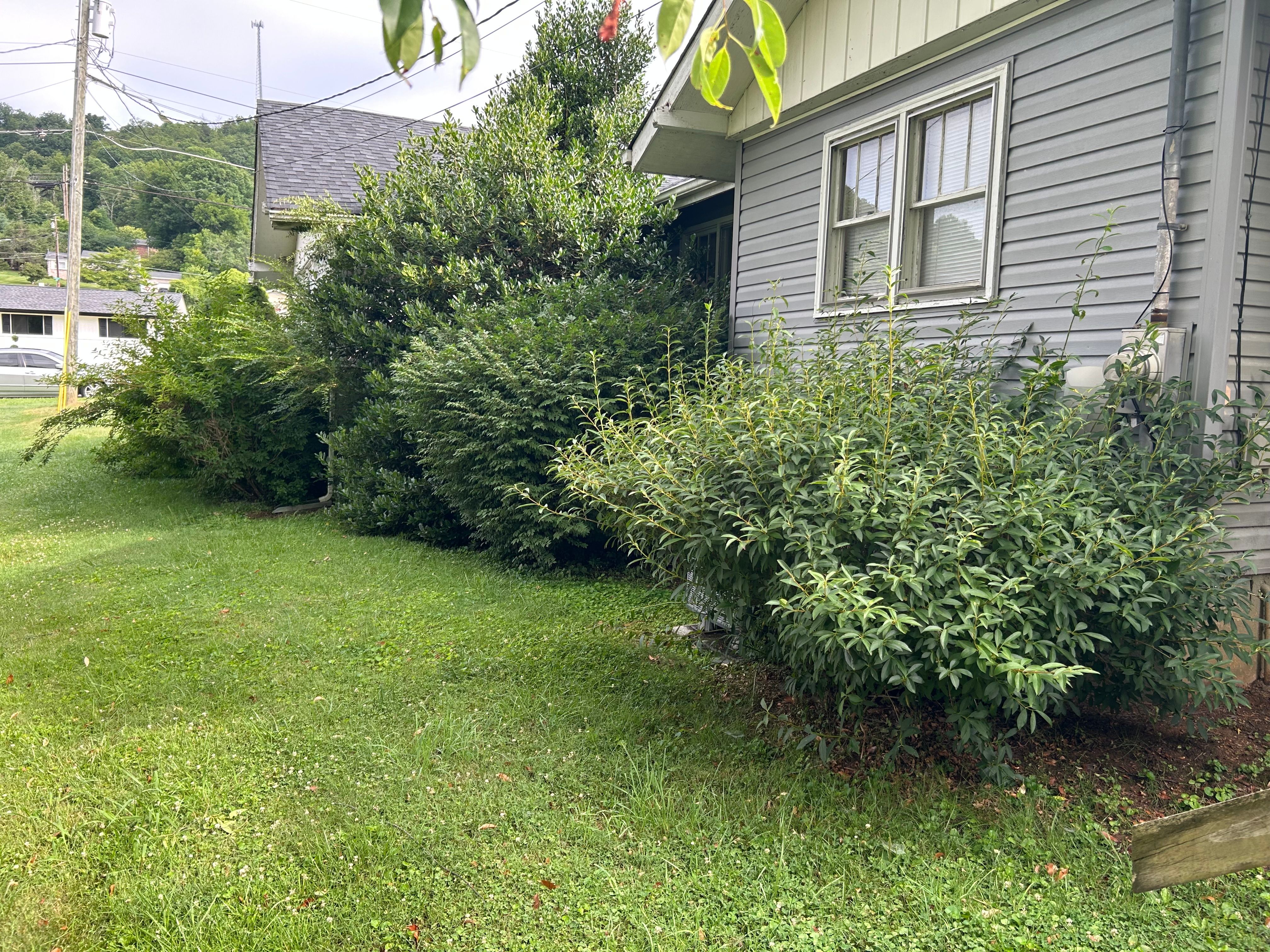 All Photos for Gatrell Landscape & Tree Removal in Bluff City, TN